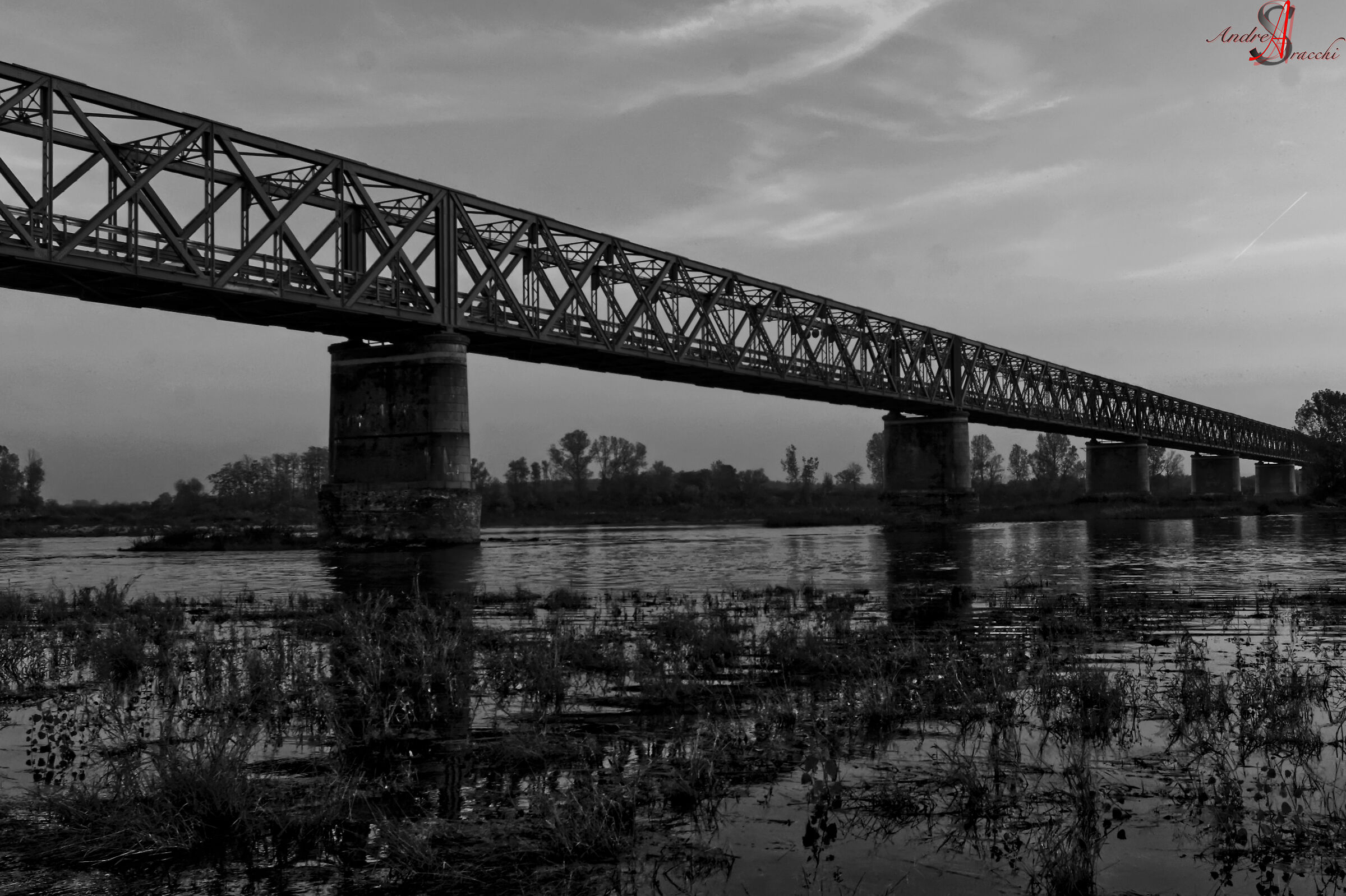 Untitled Photo
