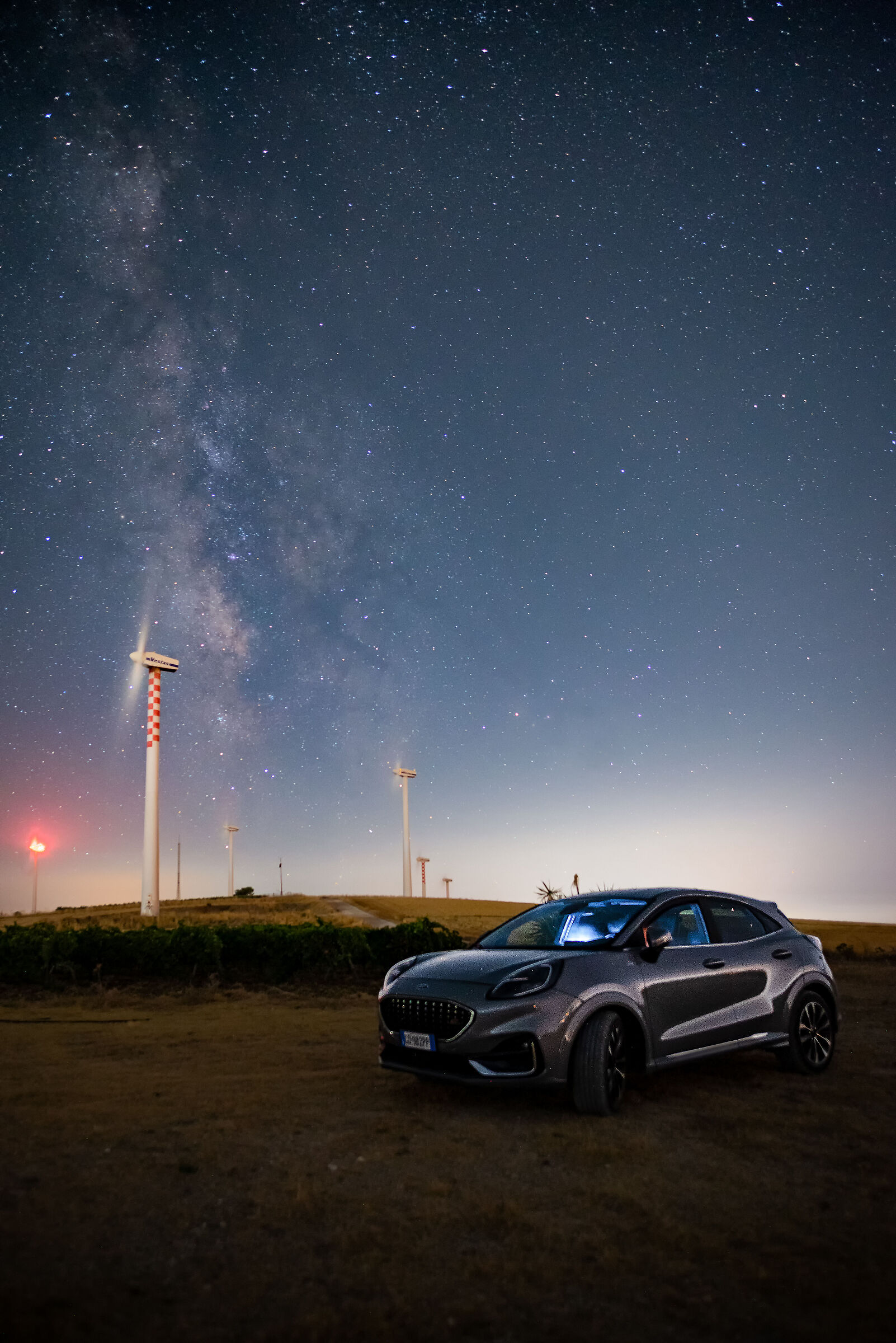 Il puma sotto le stelle