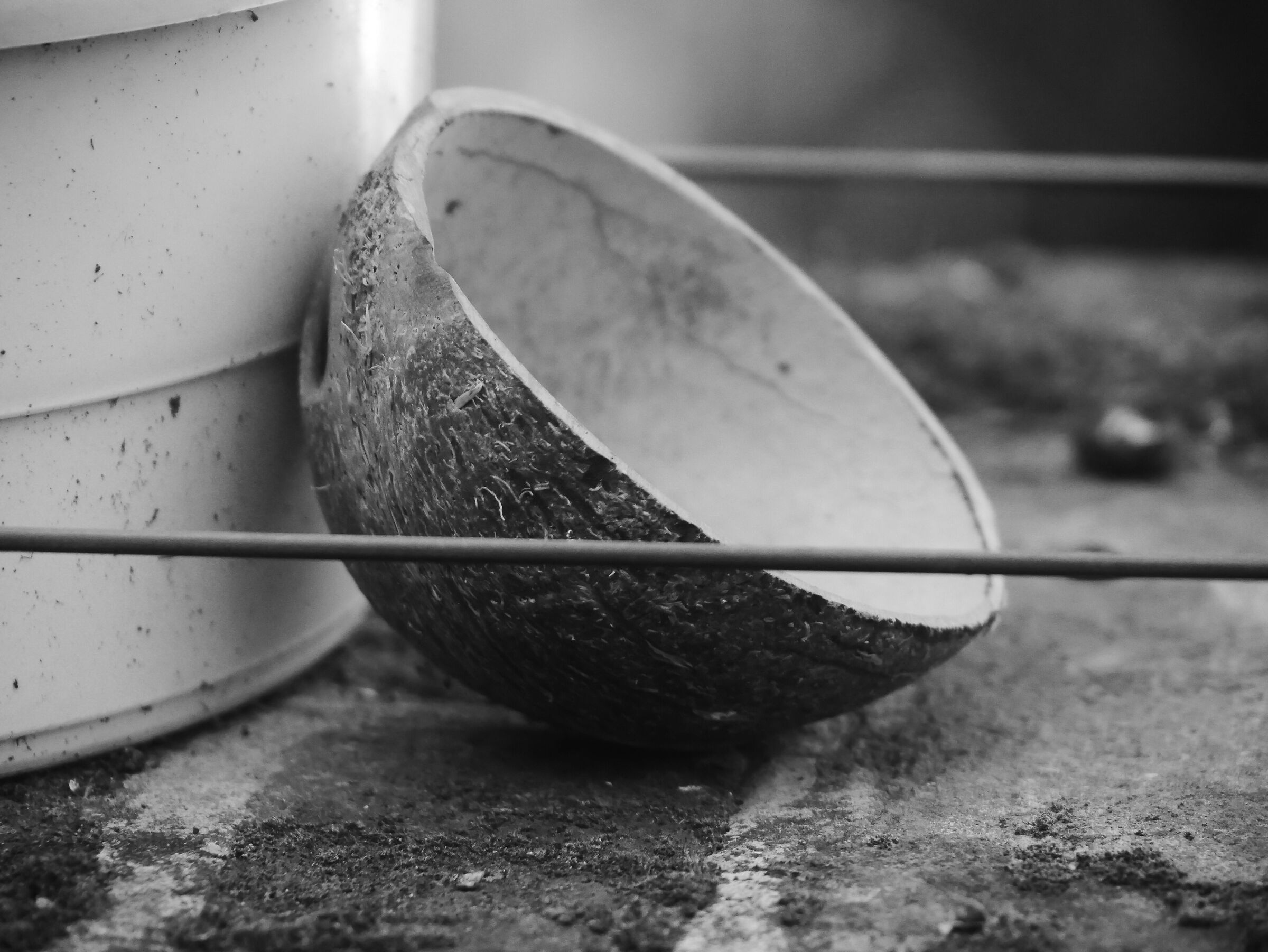 Per chi vede il mondo in grigio 2