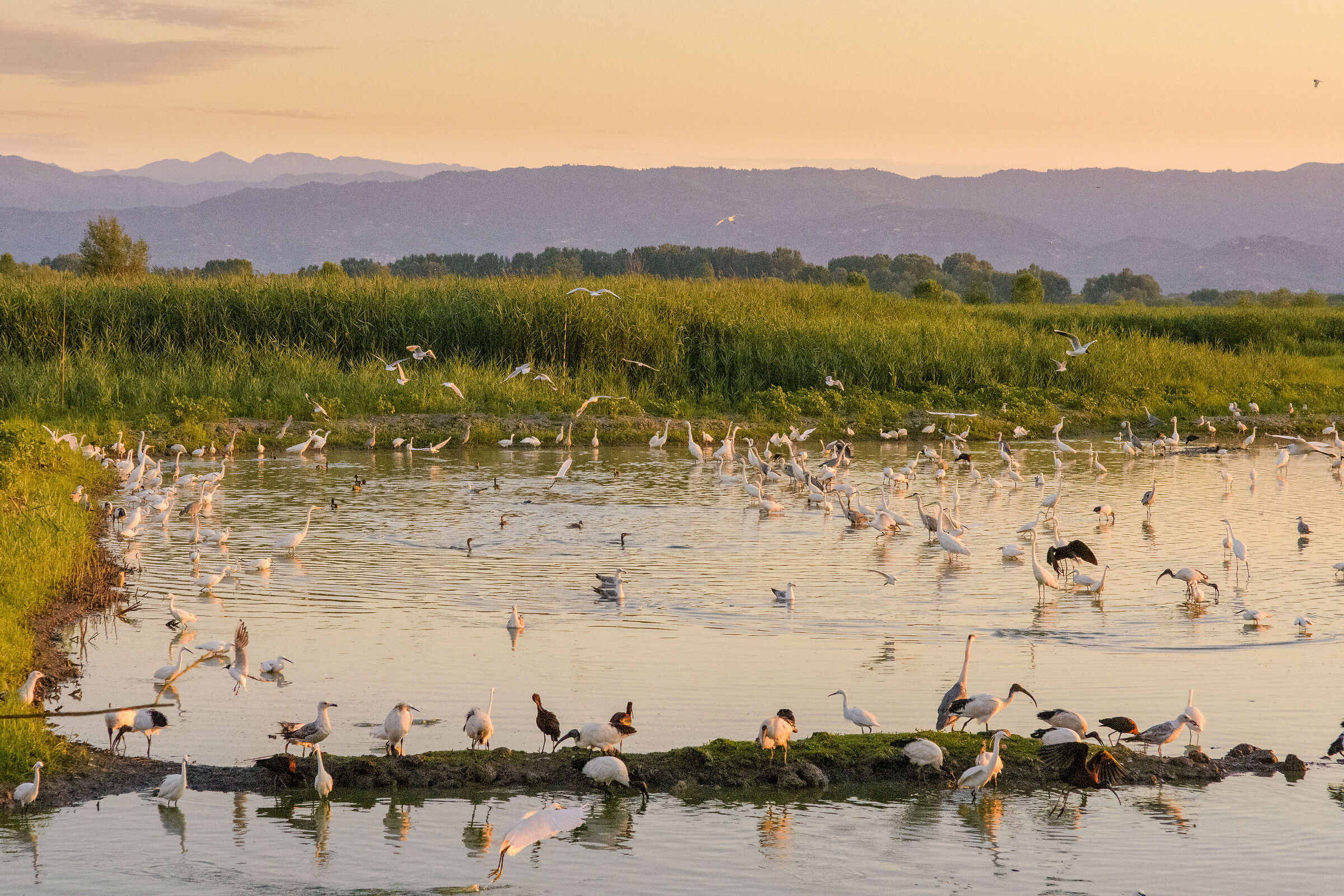 C'è acqua? C'è vita!