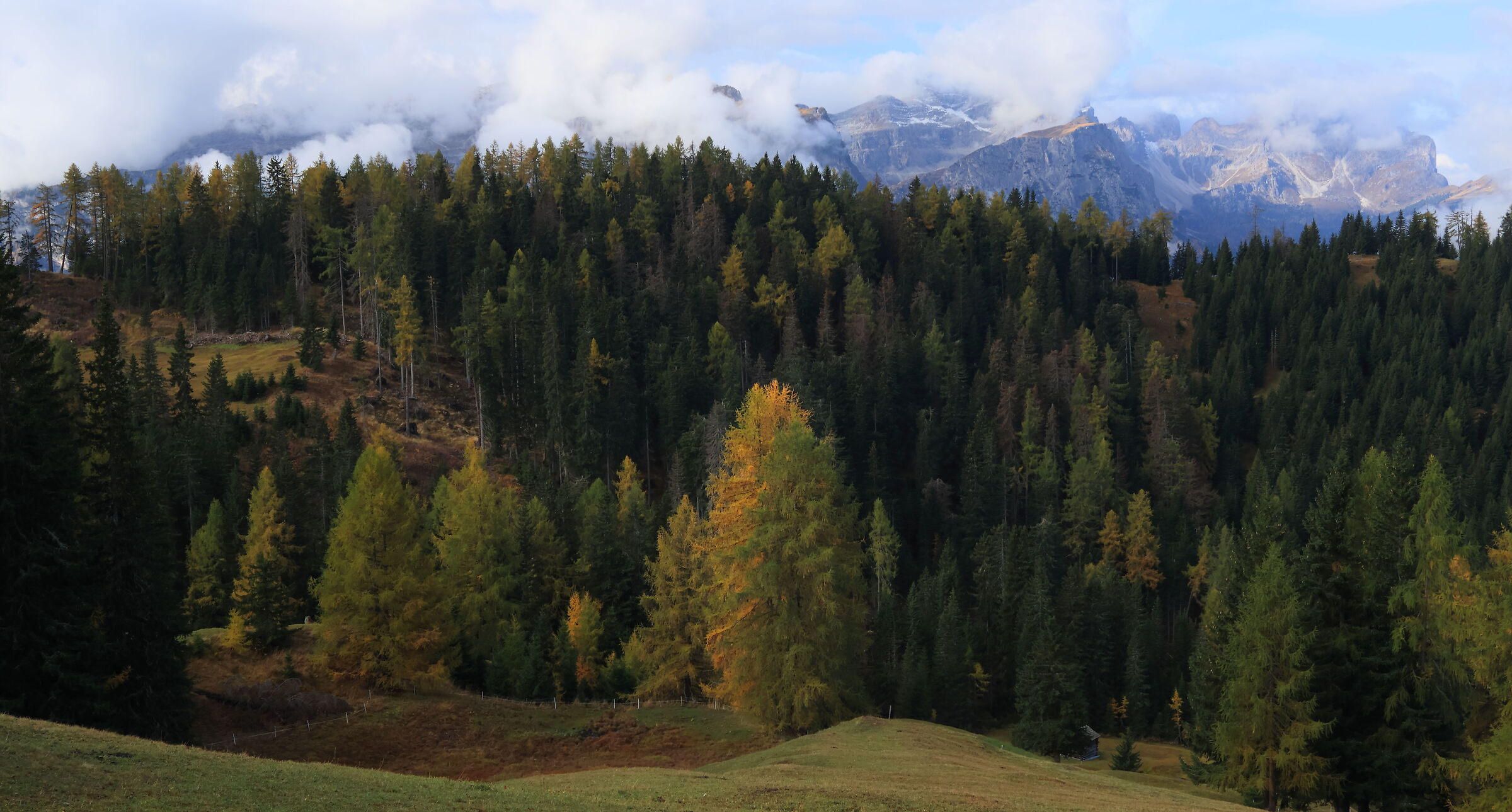 Prati dell'Armentara in Autunno
