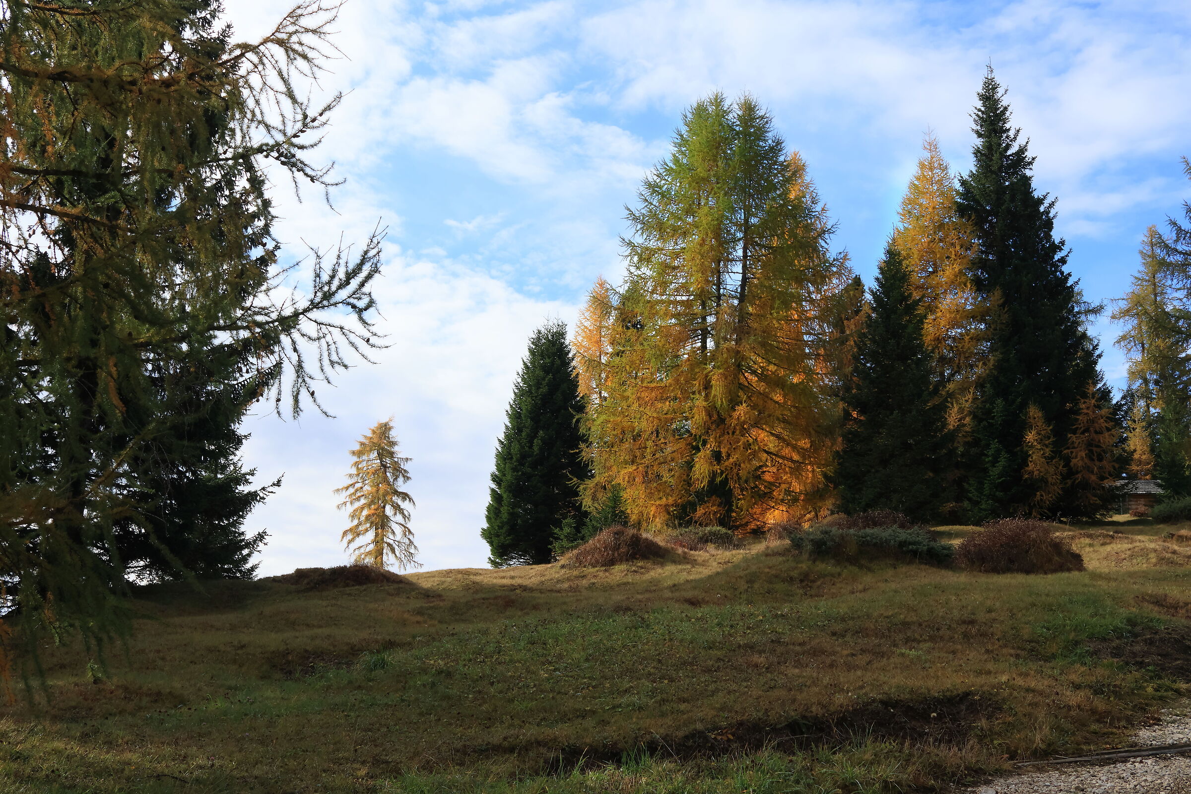 I Prati dell'Armentara in Autunno