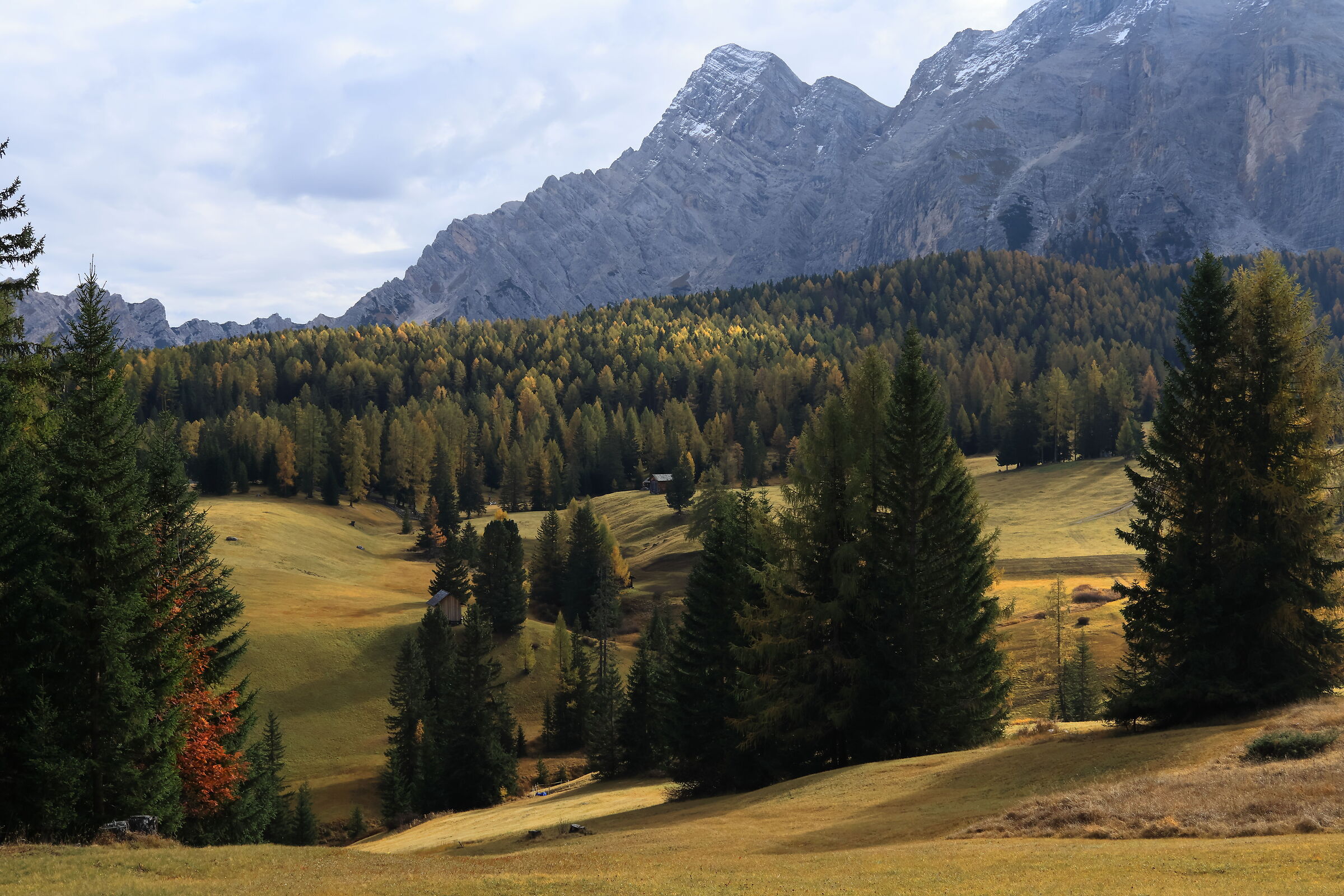 Prati dell'Armentara in autunno