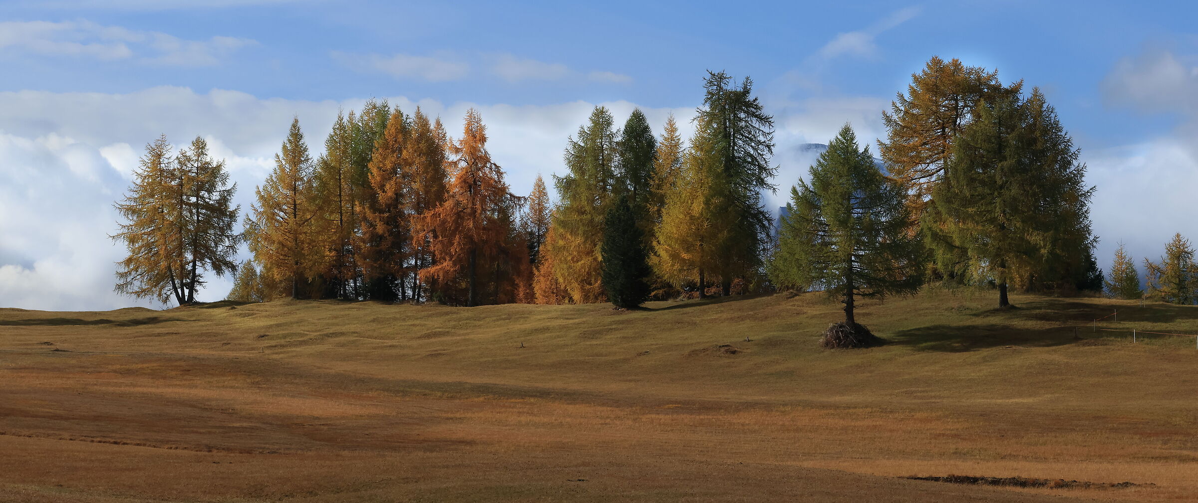 Prati dell'Armentara in autunno