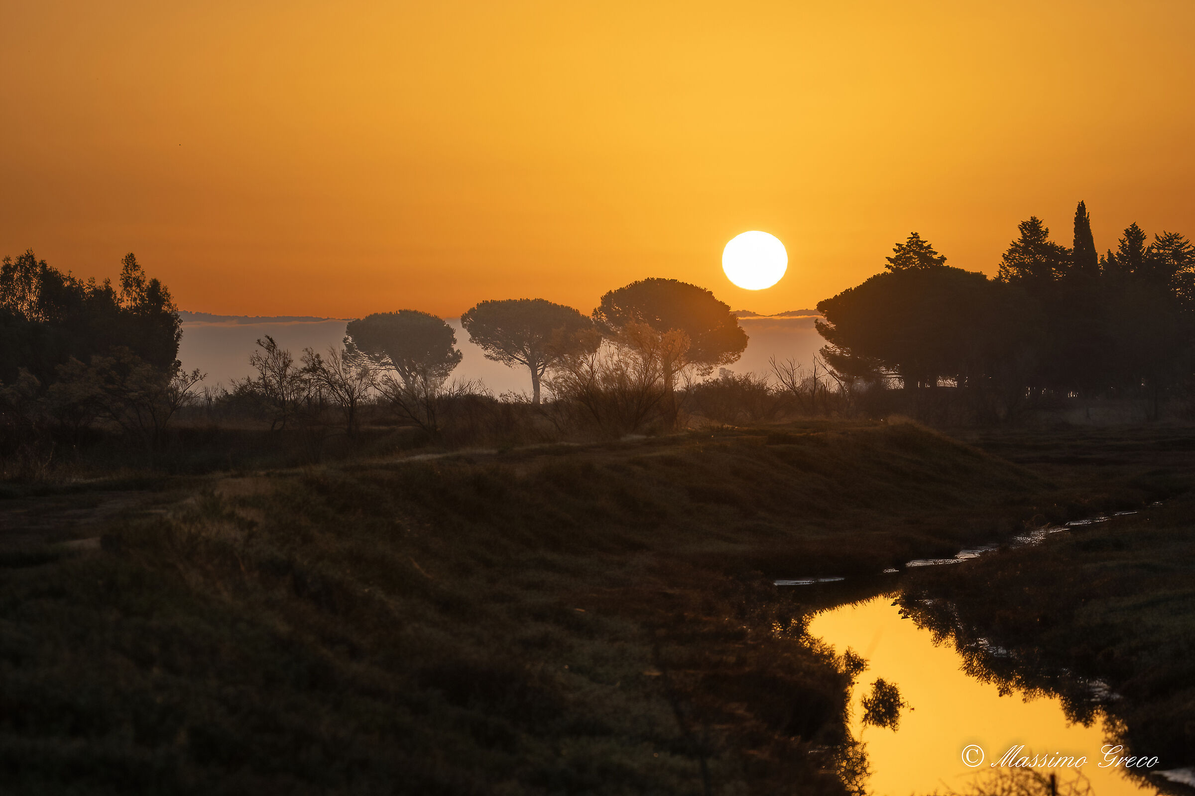 Sorge il sole sulla palude
