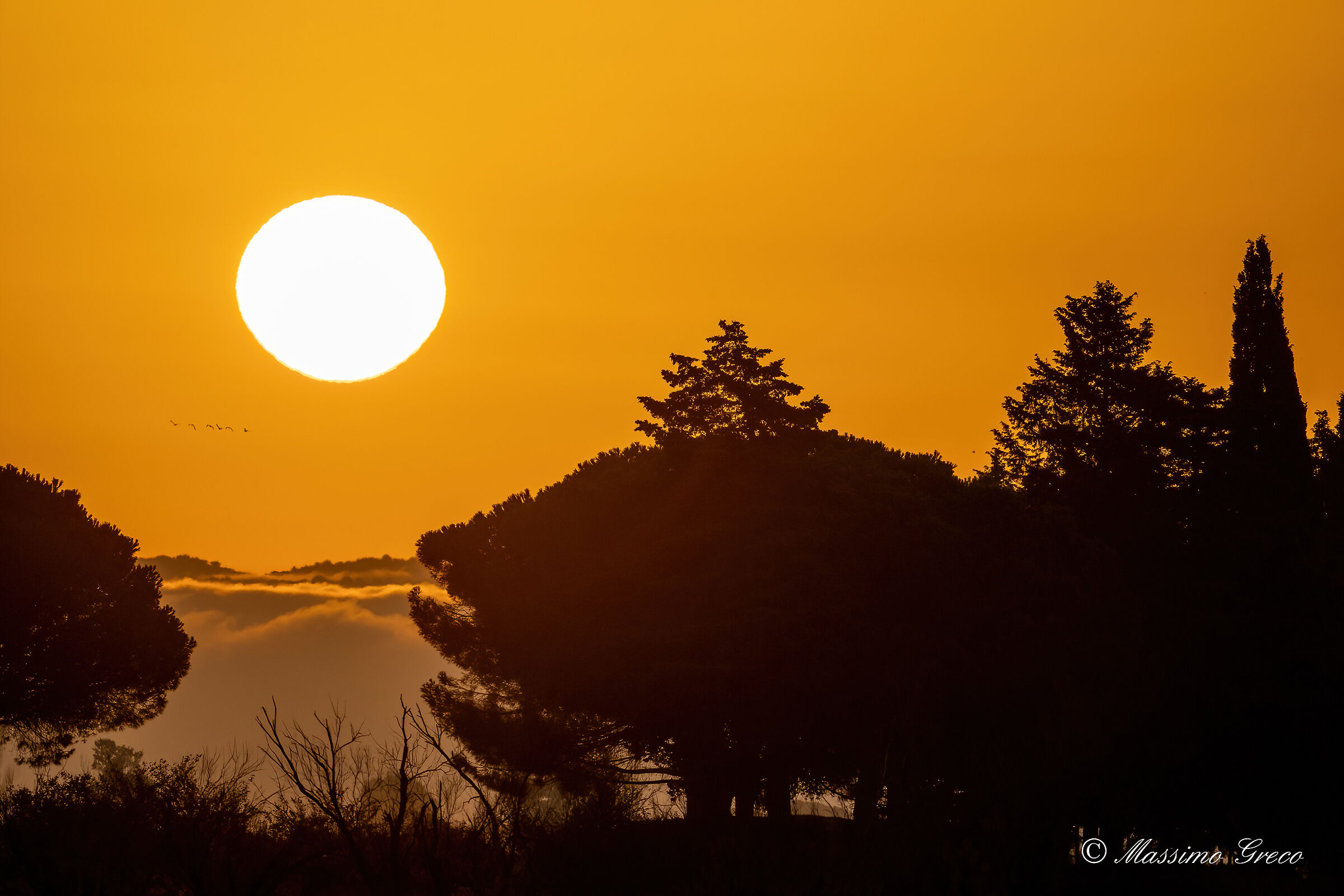 Sorge il sole sulla palude