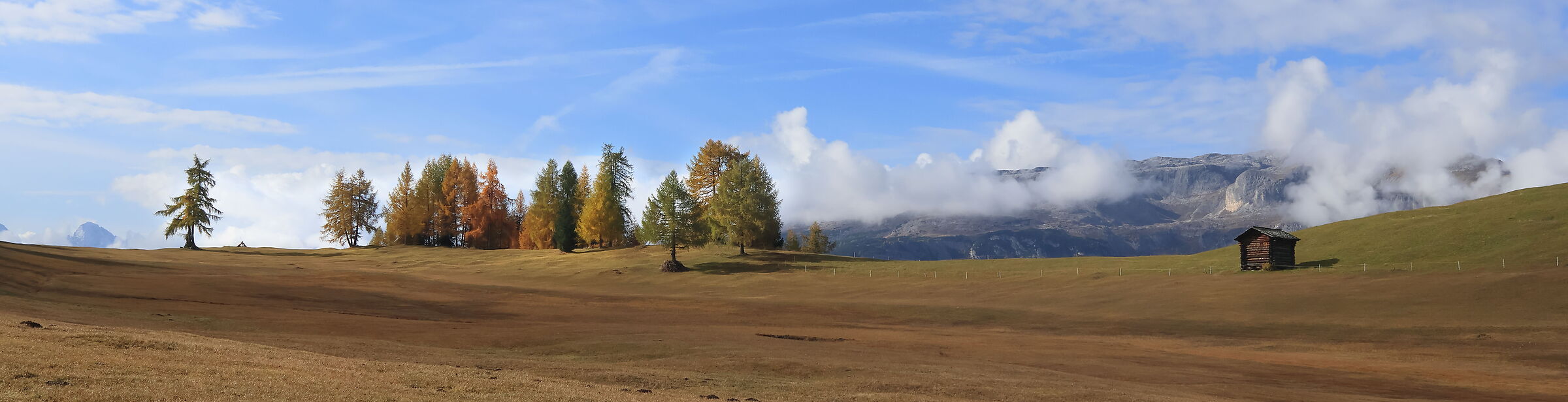 Prati dell'Armentara in autunno