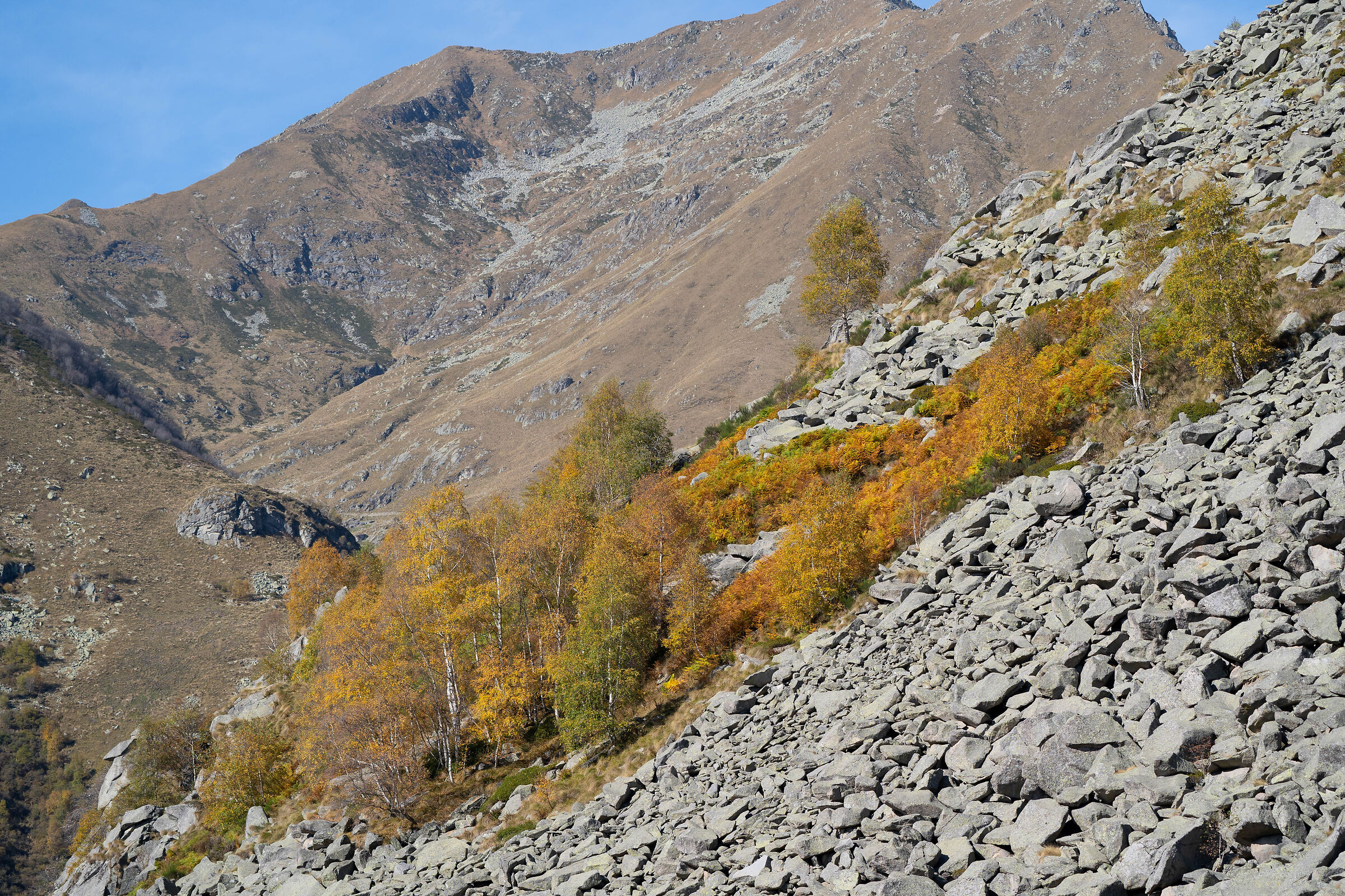 Autumn in the upper Sessera valley