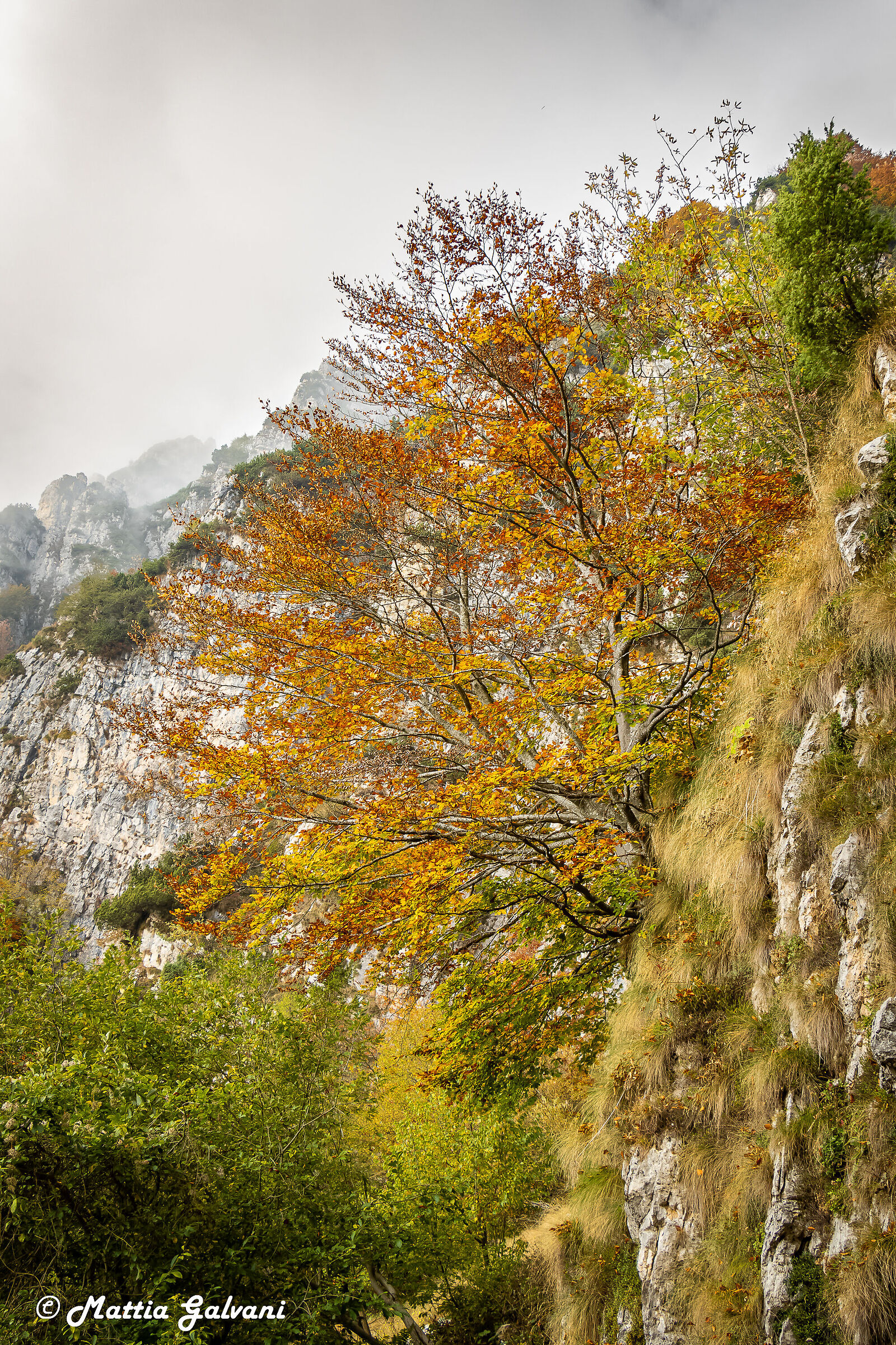 L'autunno tra nebbia e colori...