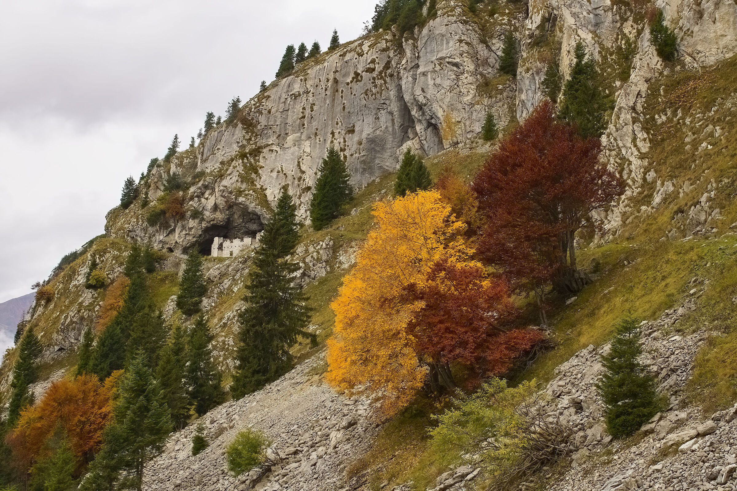 Autumn