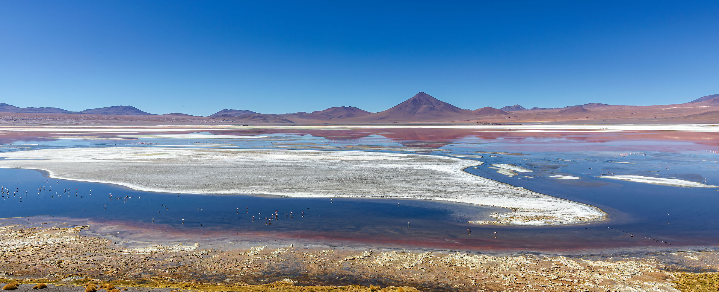 Bolivia Laguna Colorada