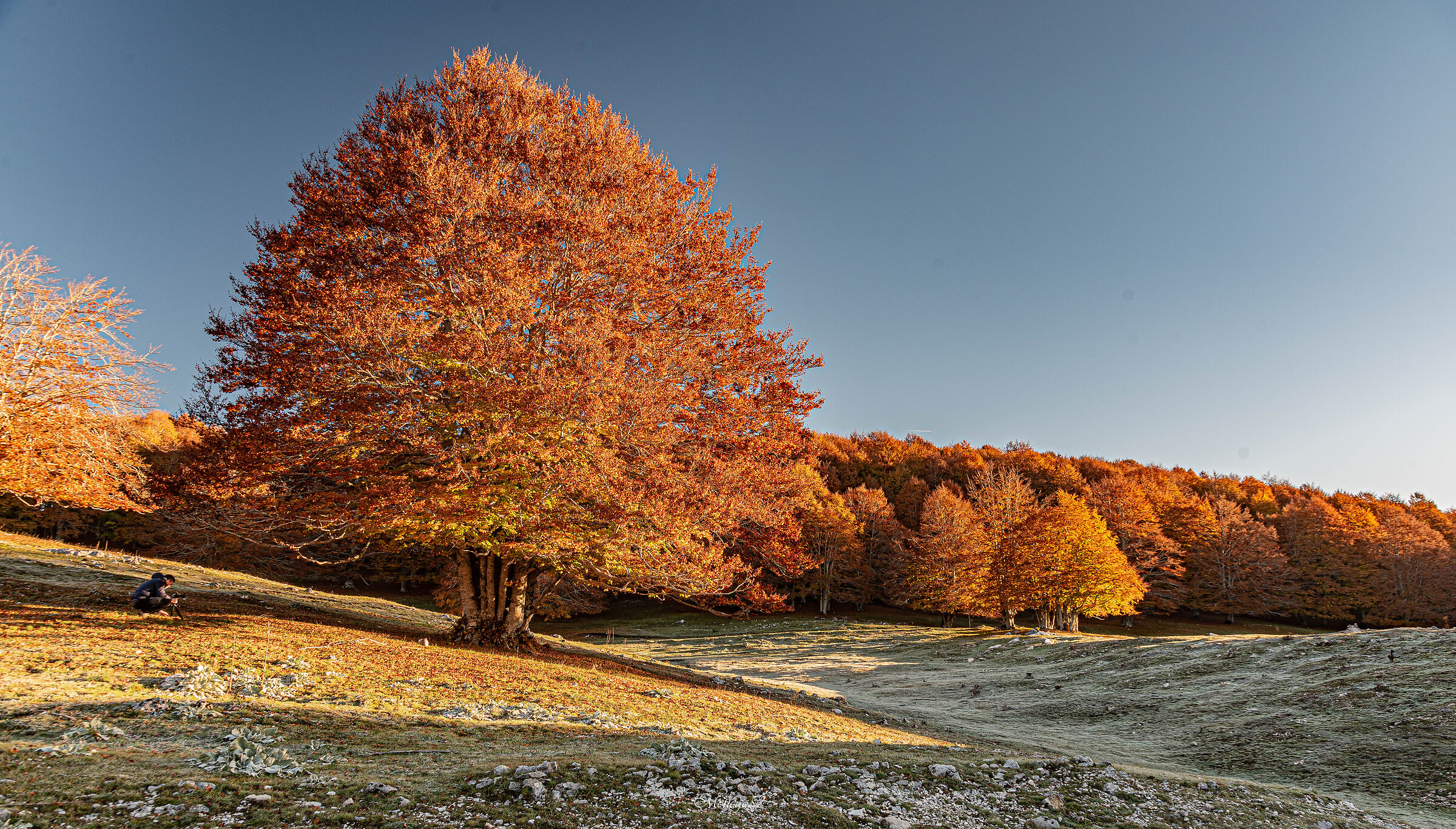 foliage a monte Livata 2