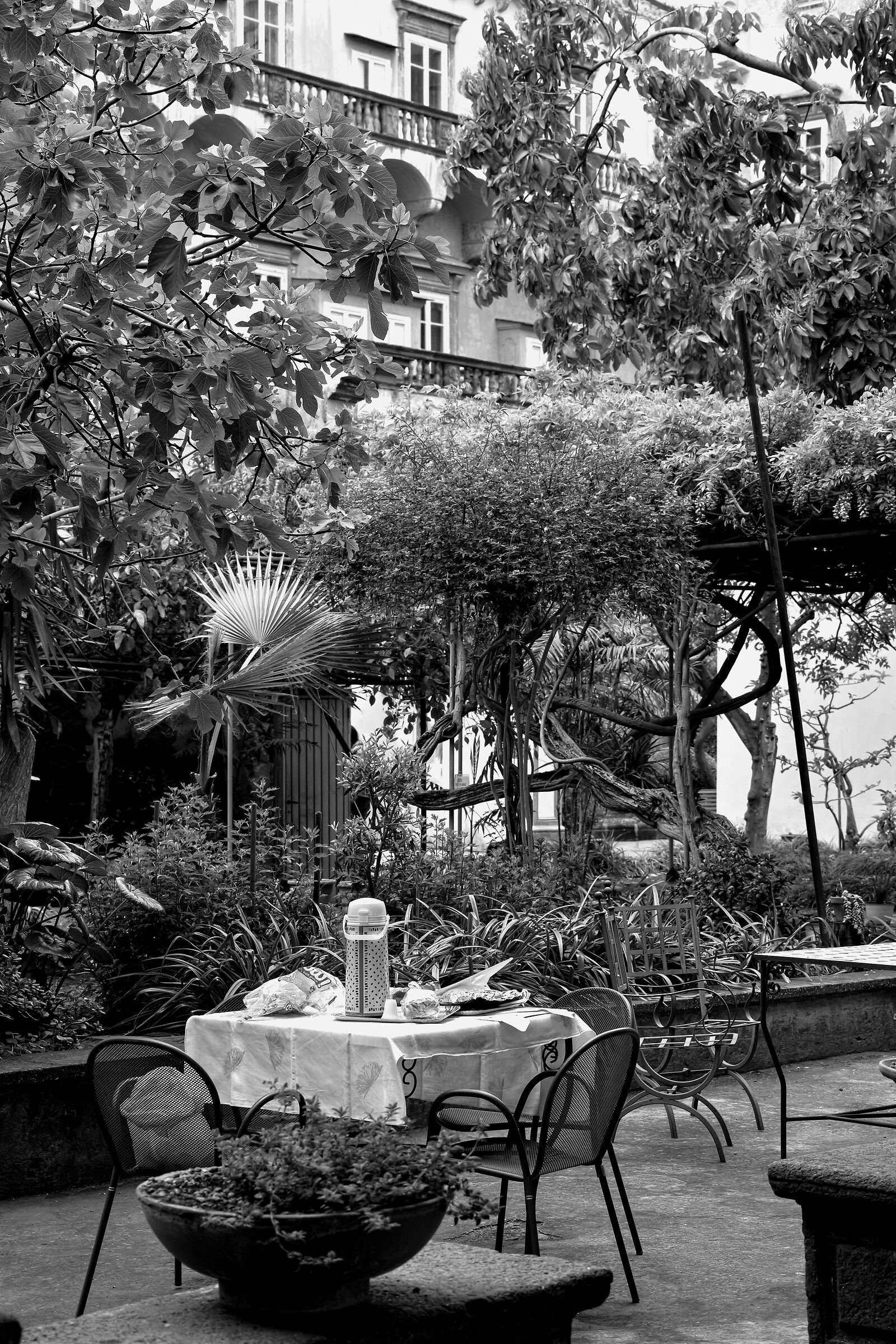 Breakfast in the garden