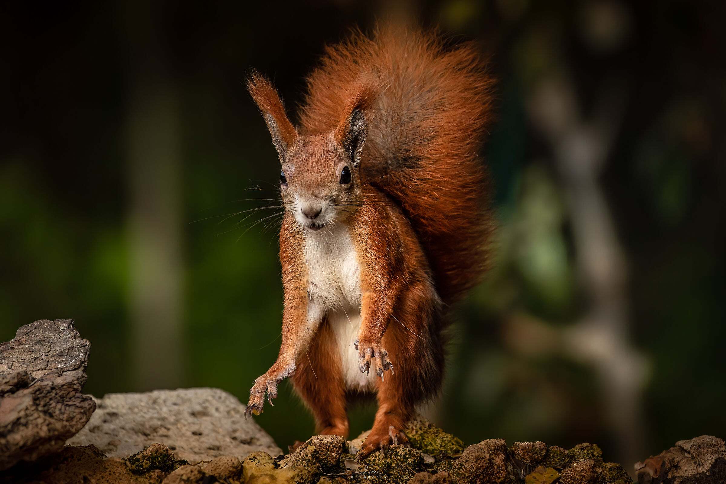 Cautious