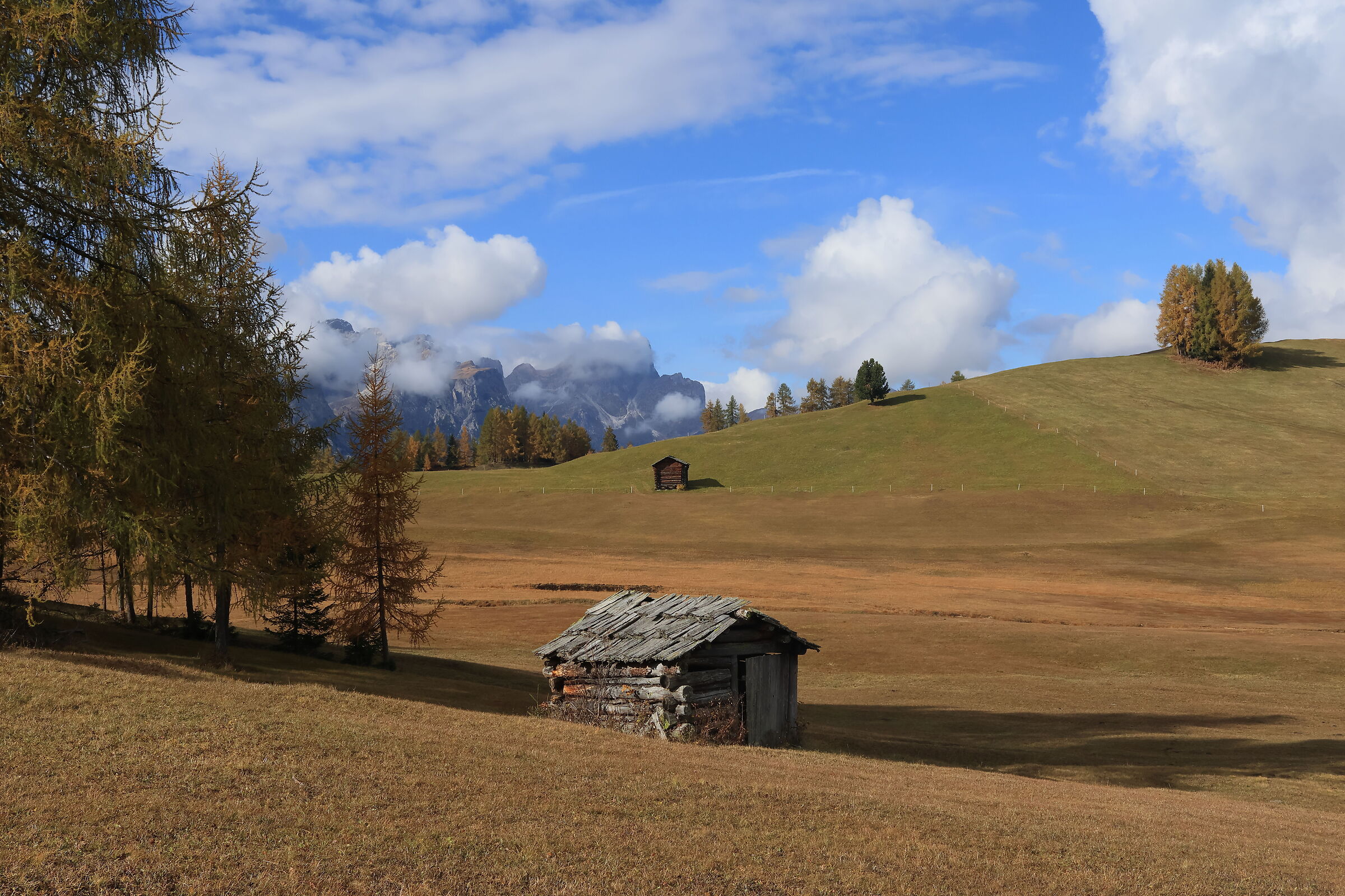 Prati dell'Armentara in autunno