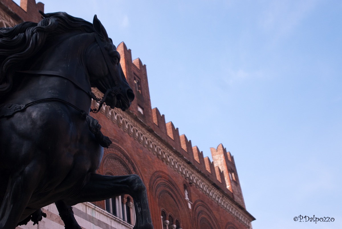 Piacenza, square Horses