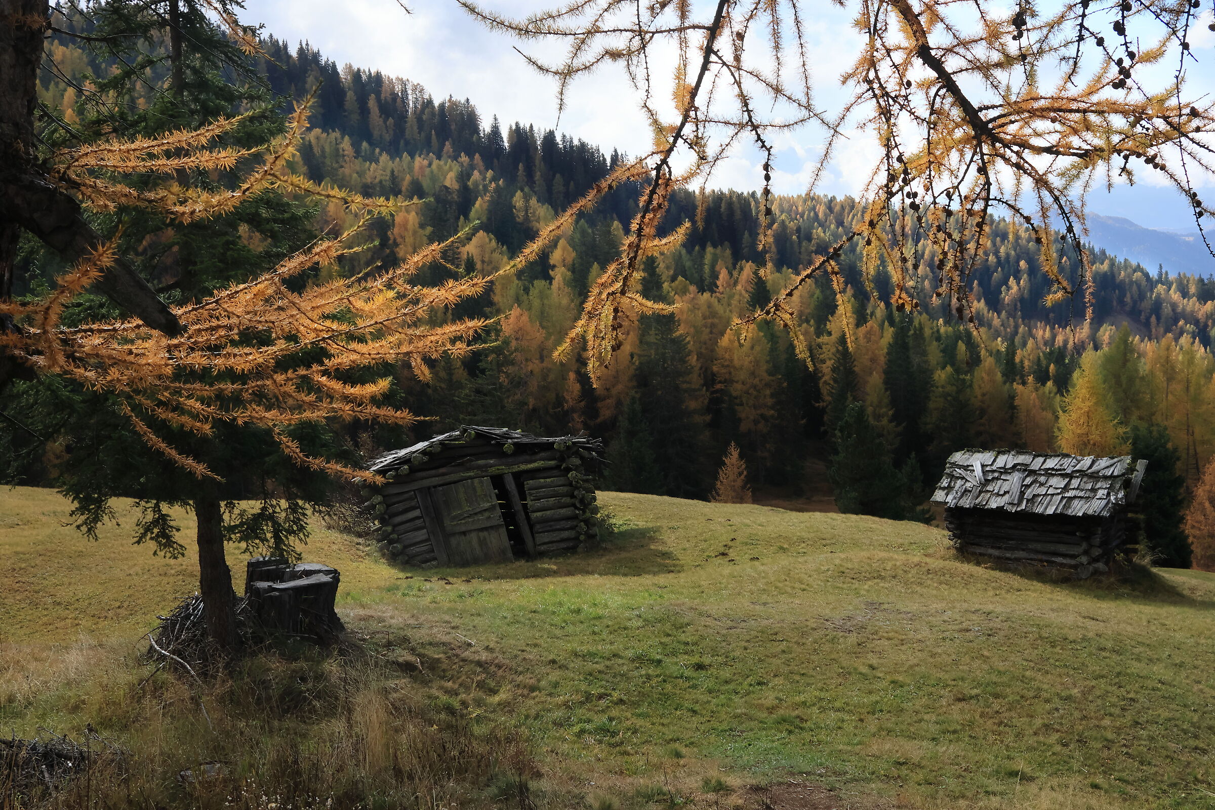 Prati dell'Armentara in autunno