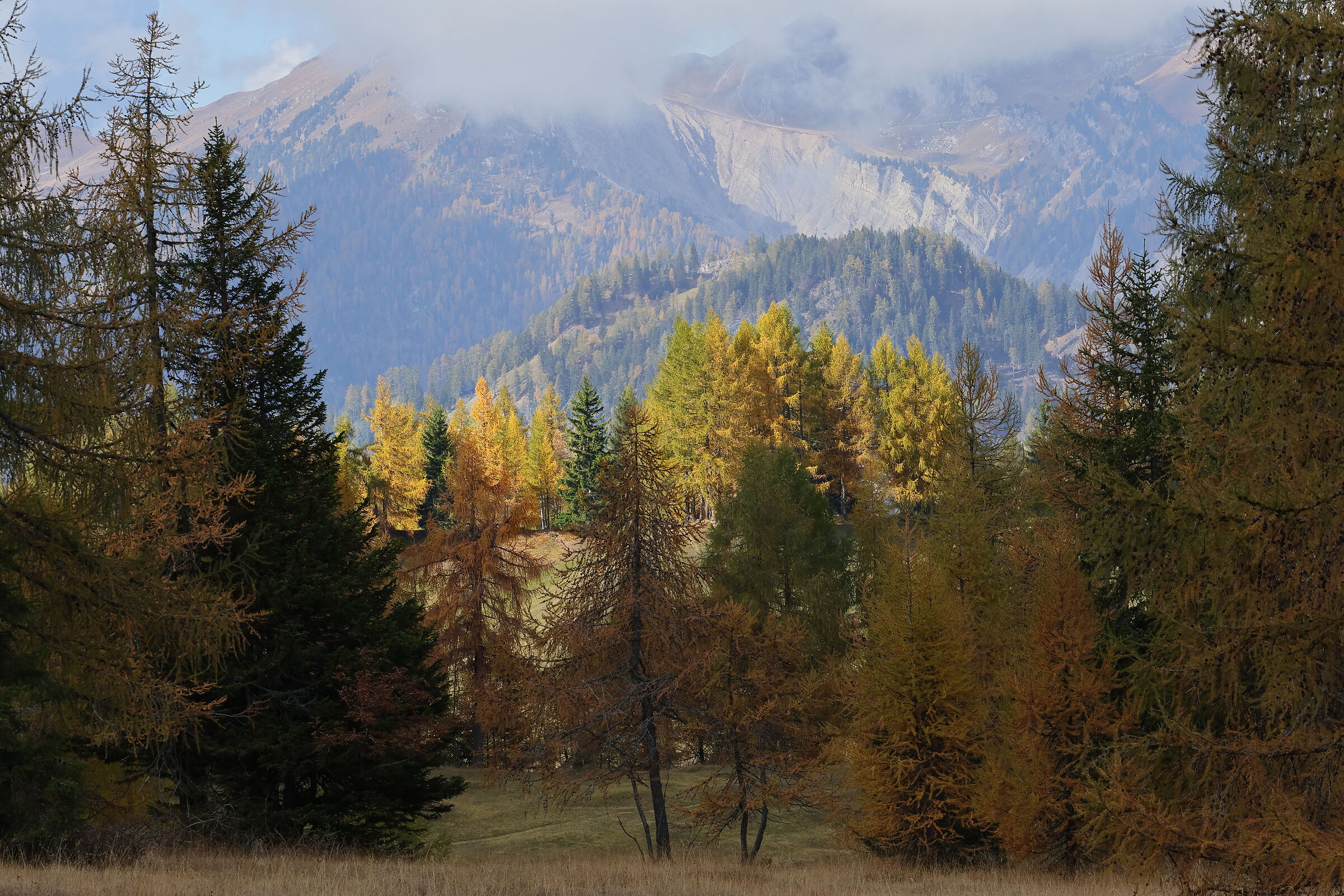 Prati dell'Armentara in autunno