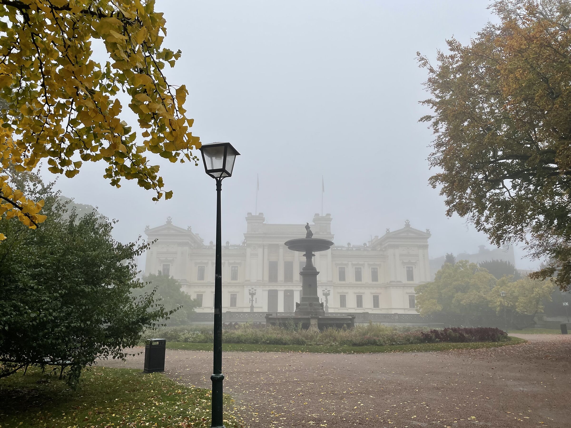 Fog in Lund Sweden