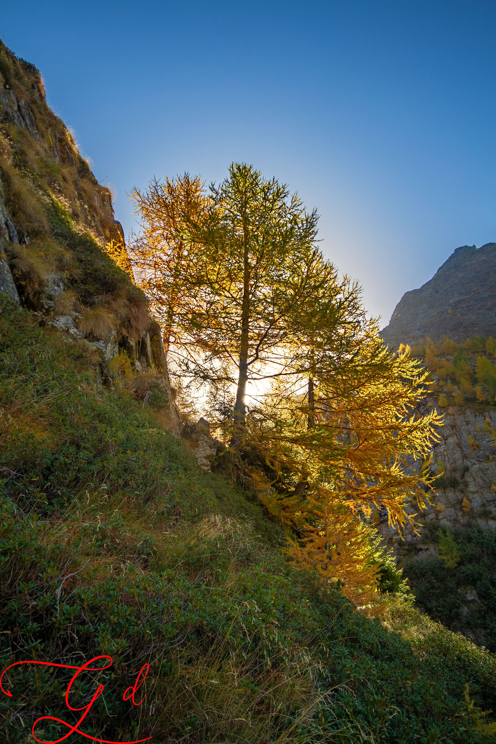 autumn