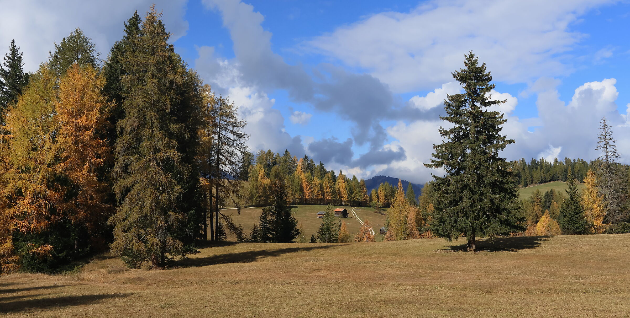 Prati dell'Armentara in autunno