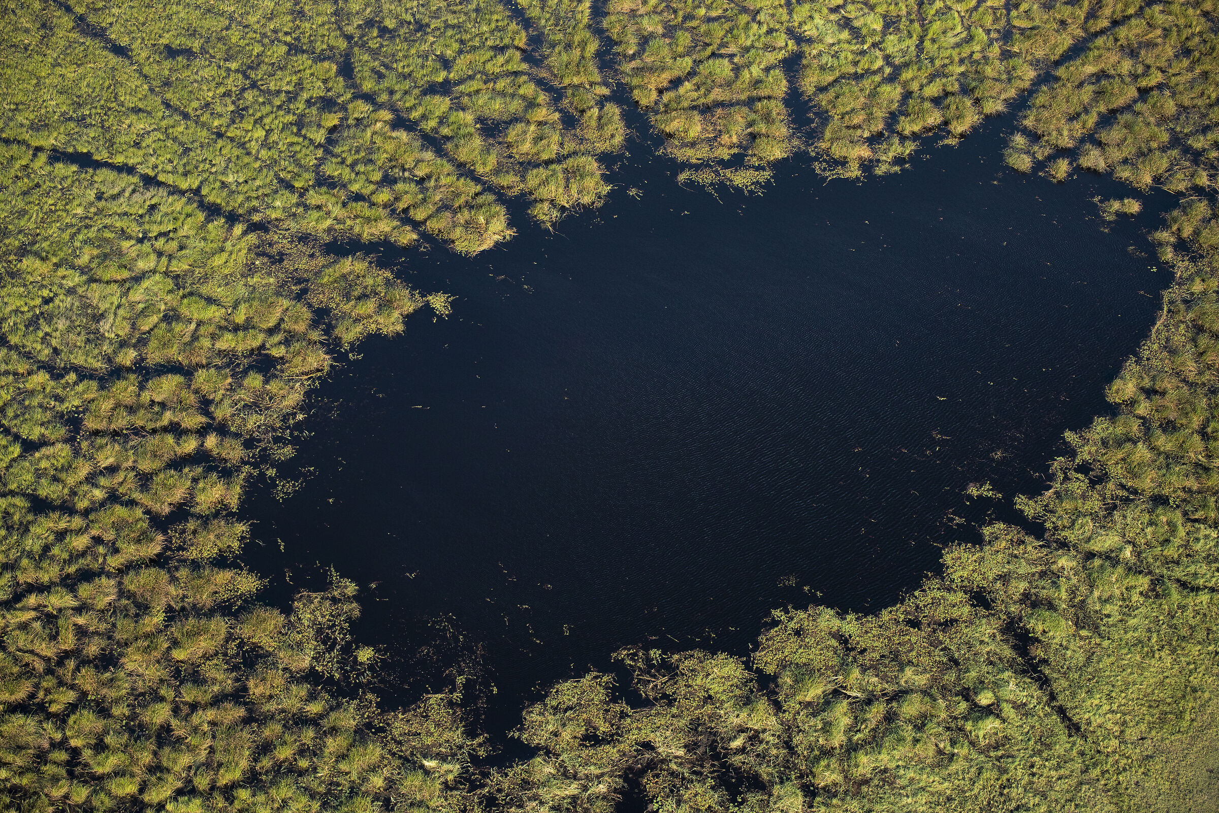 The eye of the okavango.