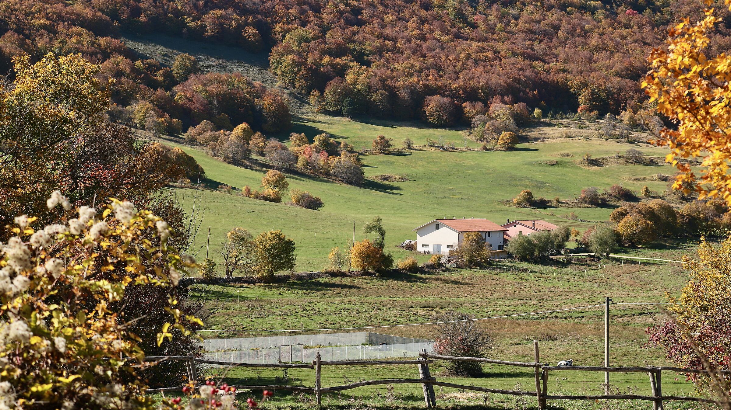 Autumn colours