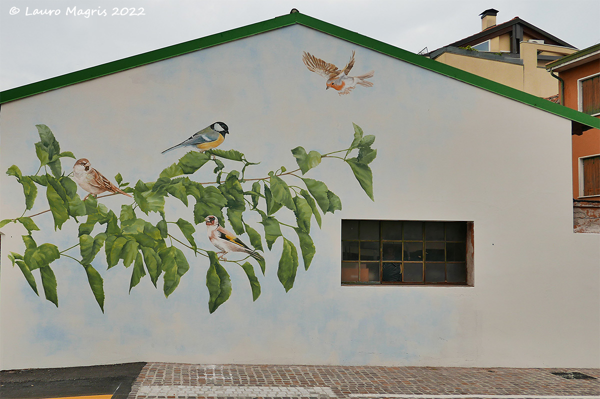 Uccelli su ramo di gelso