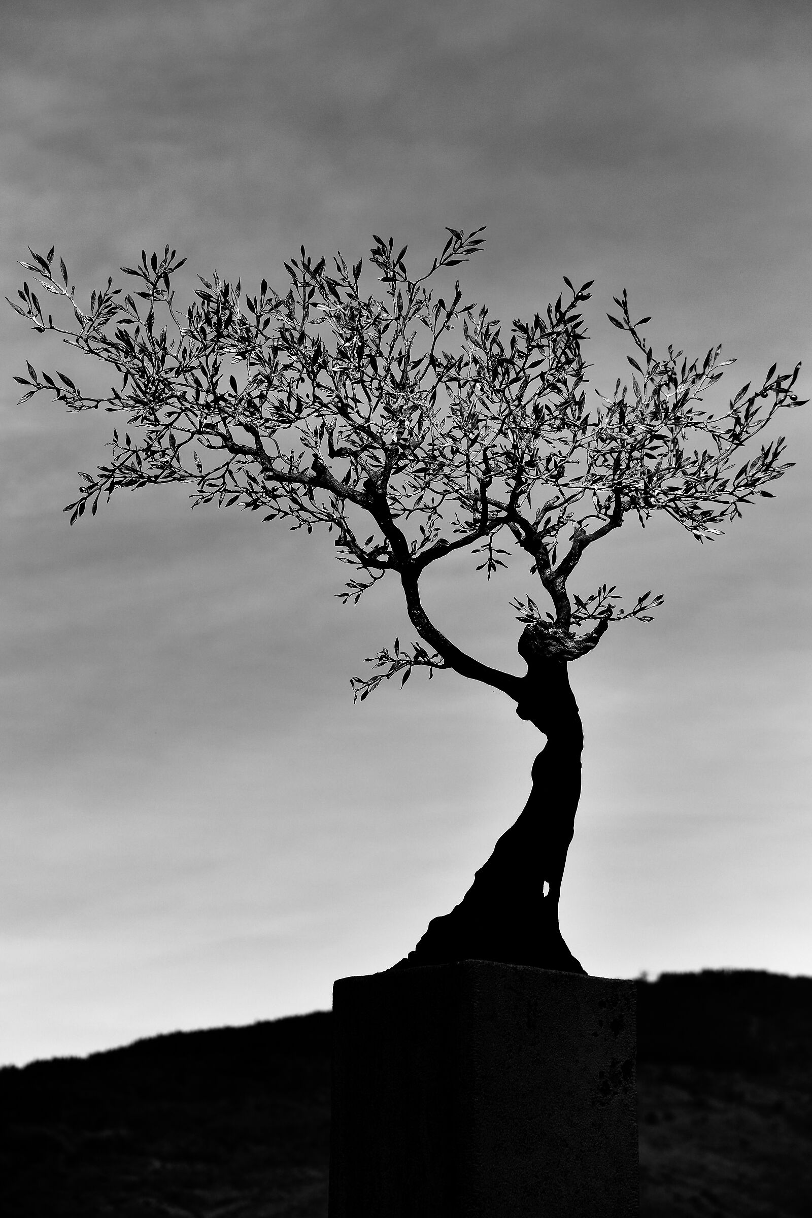 Terra Mater controluce