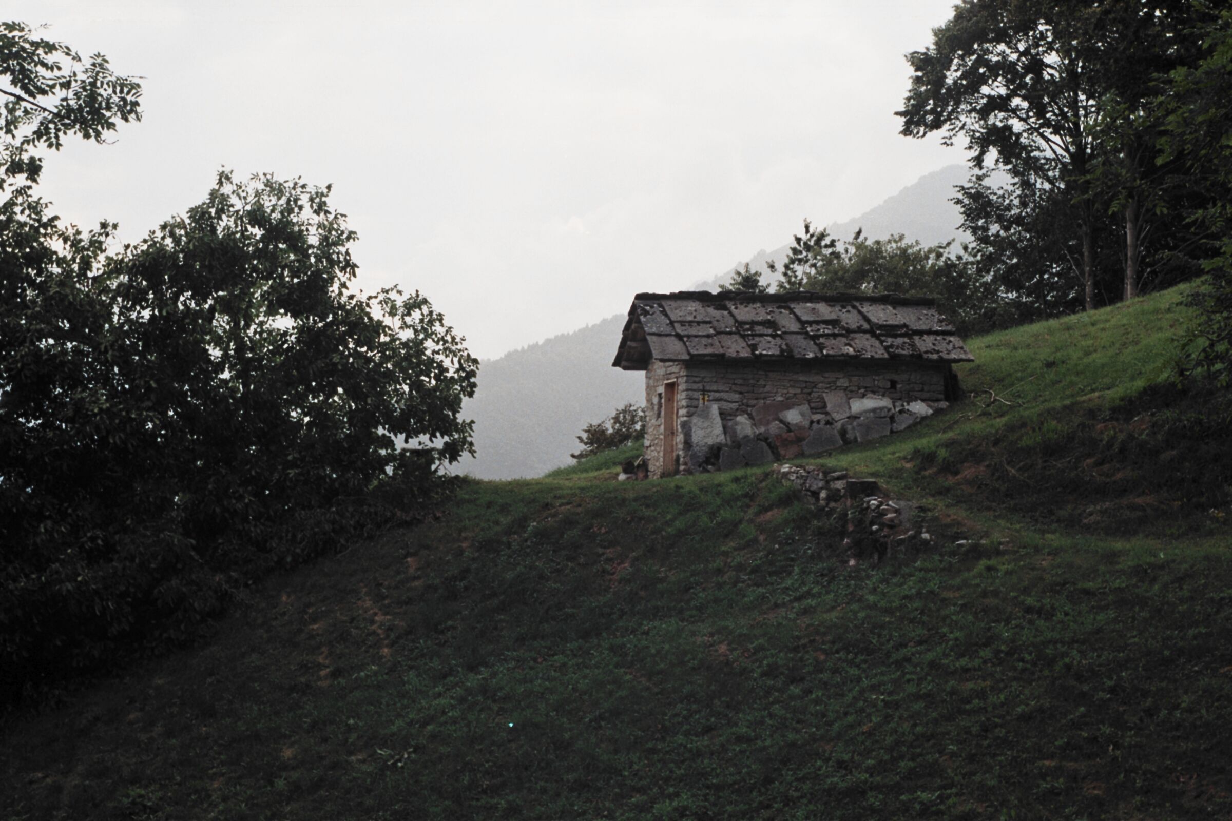 Untitled Photo