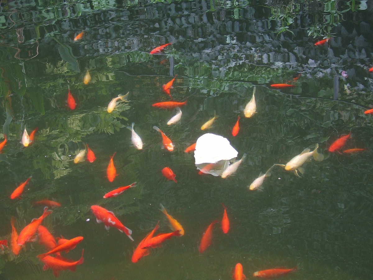 La verità è nel riflesso...........