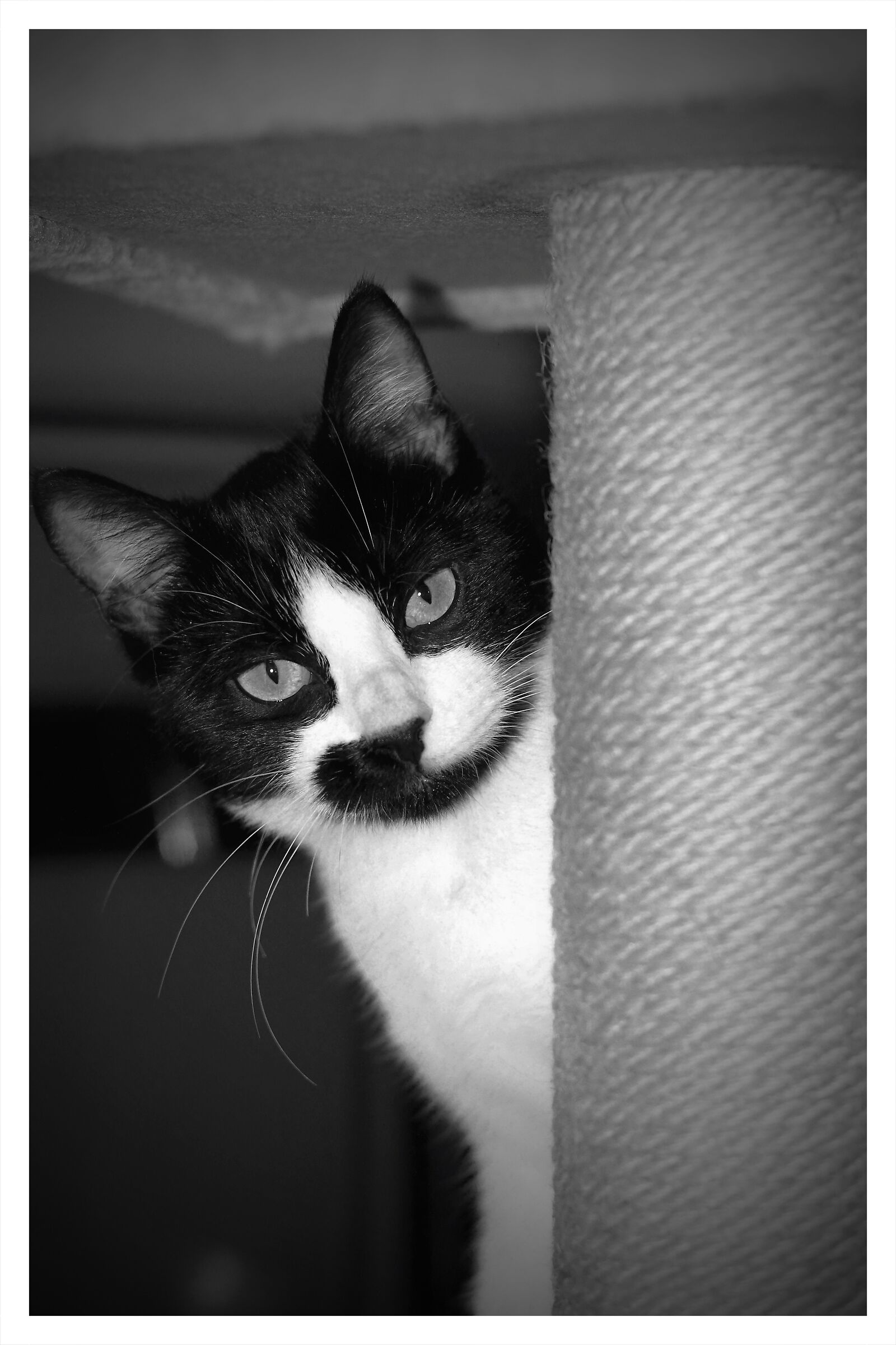 In b&w