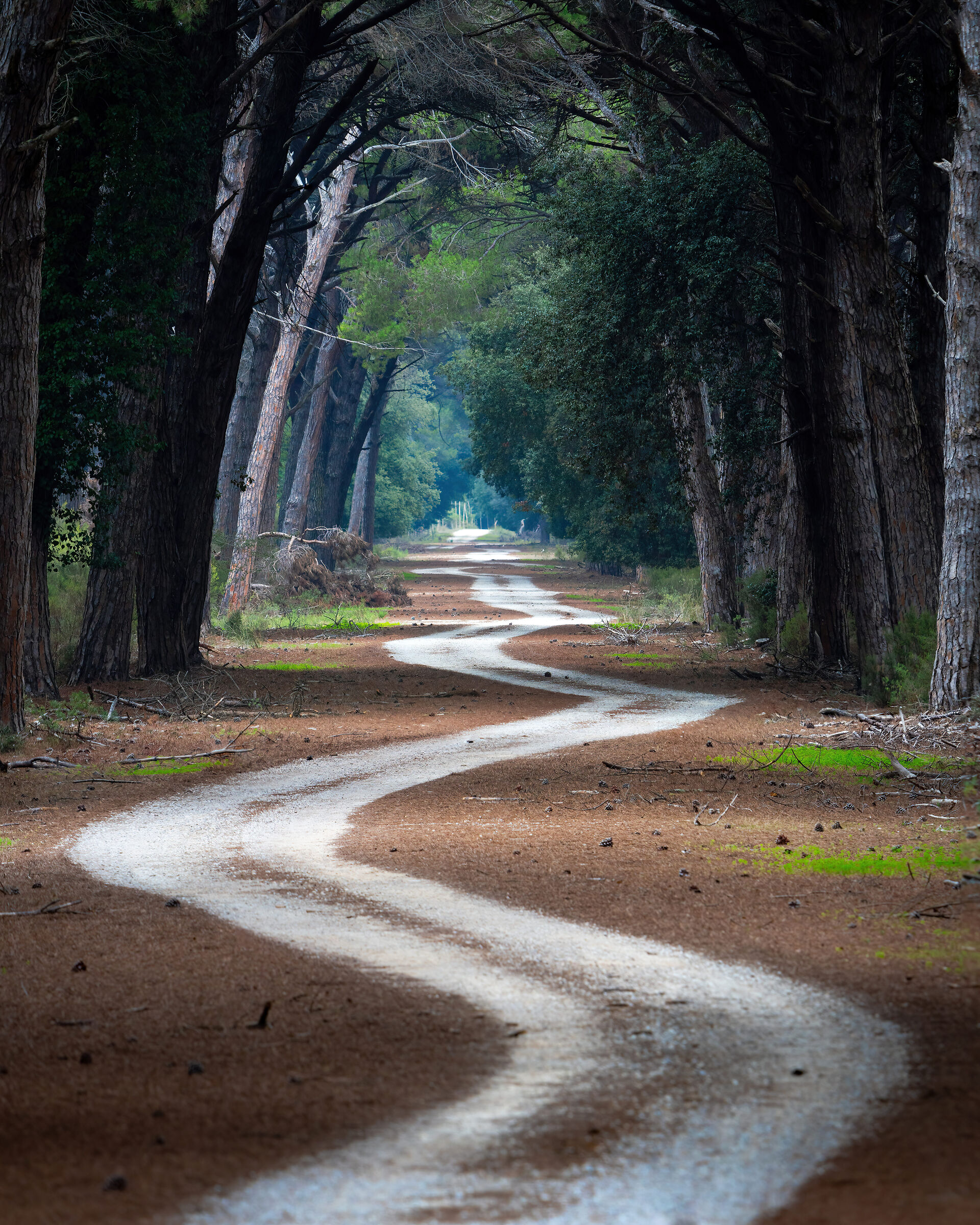 Indecision along the way