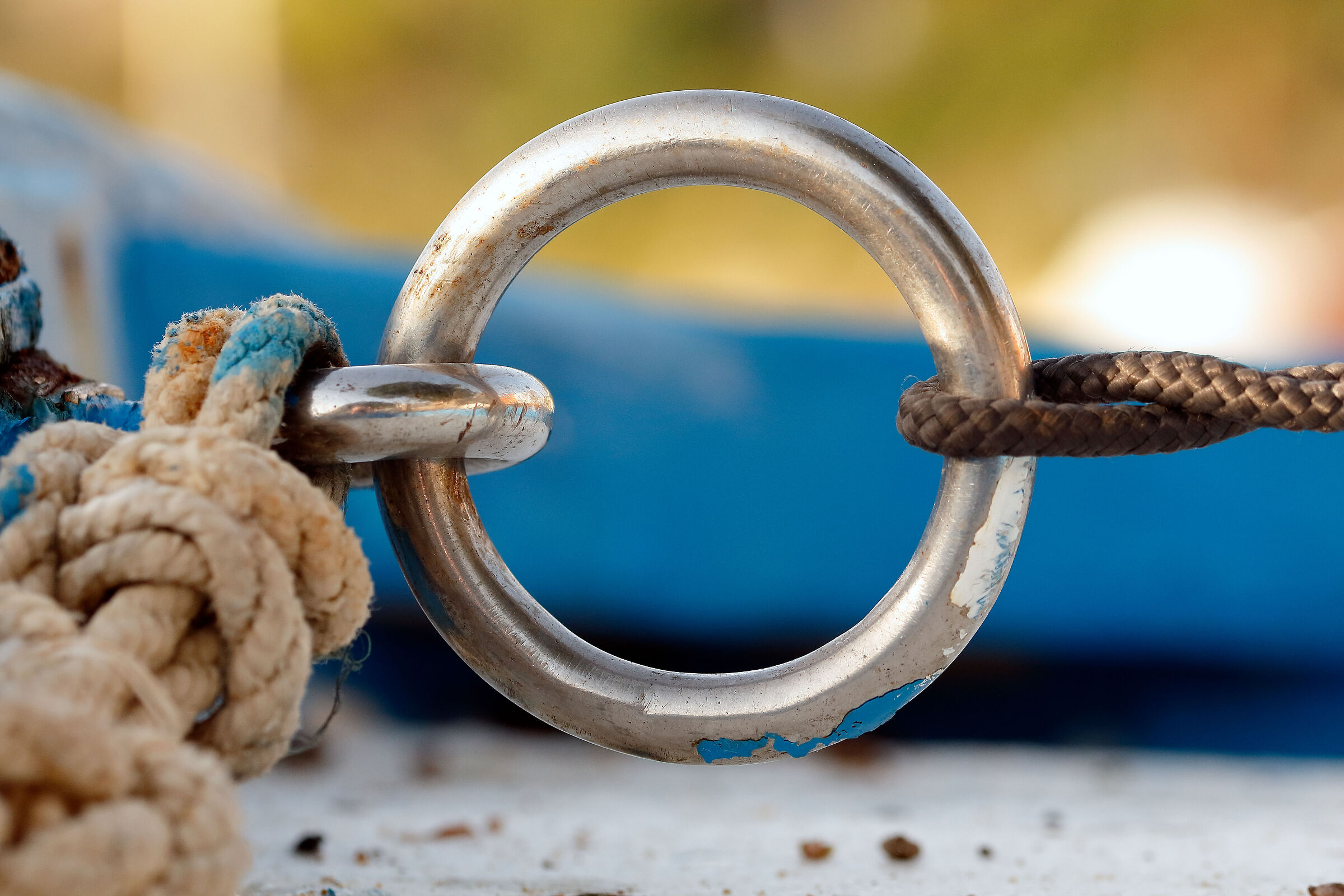 l' anello della Barca