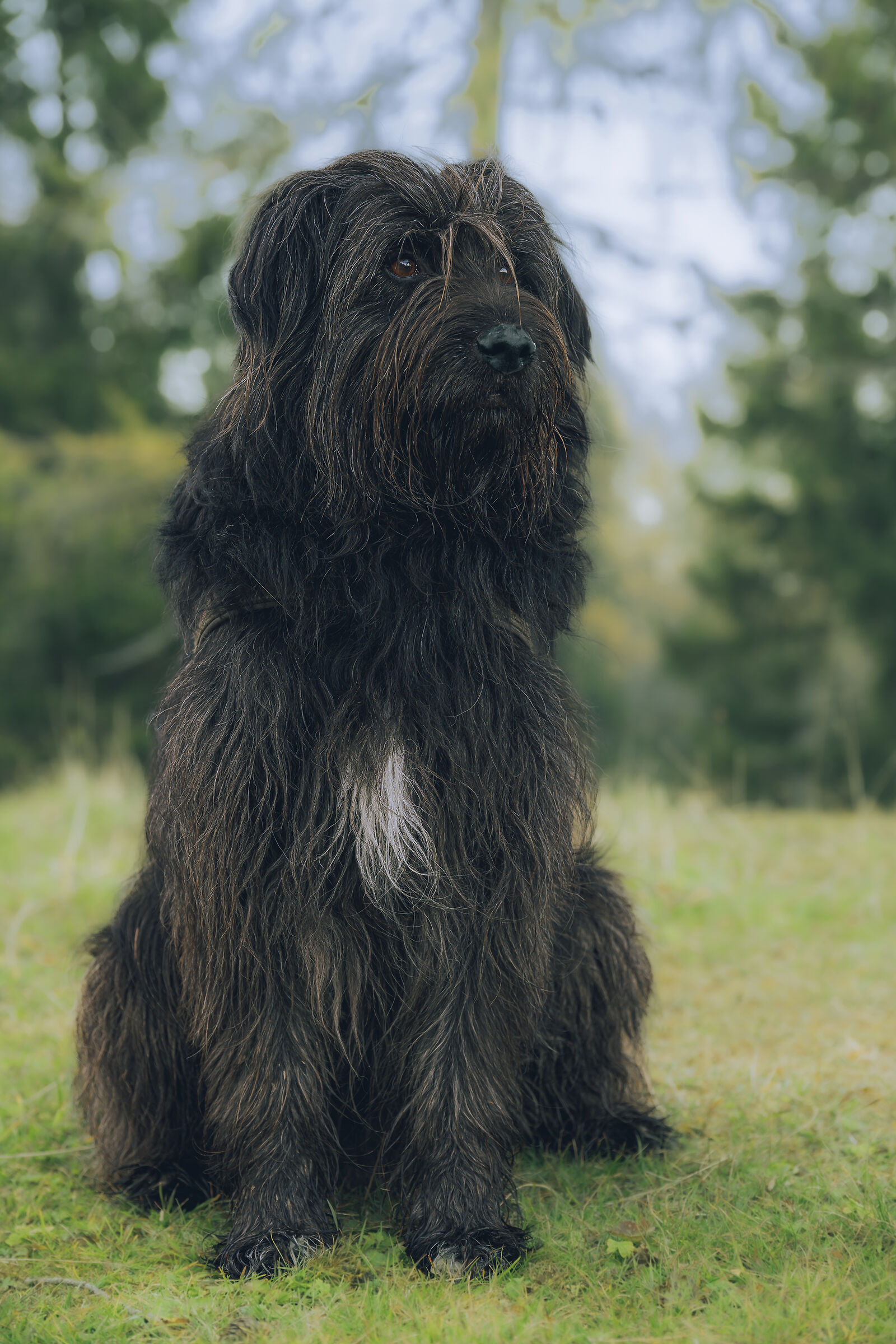 Elegantemente spettinato