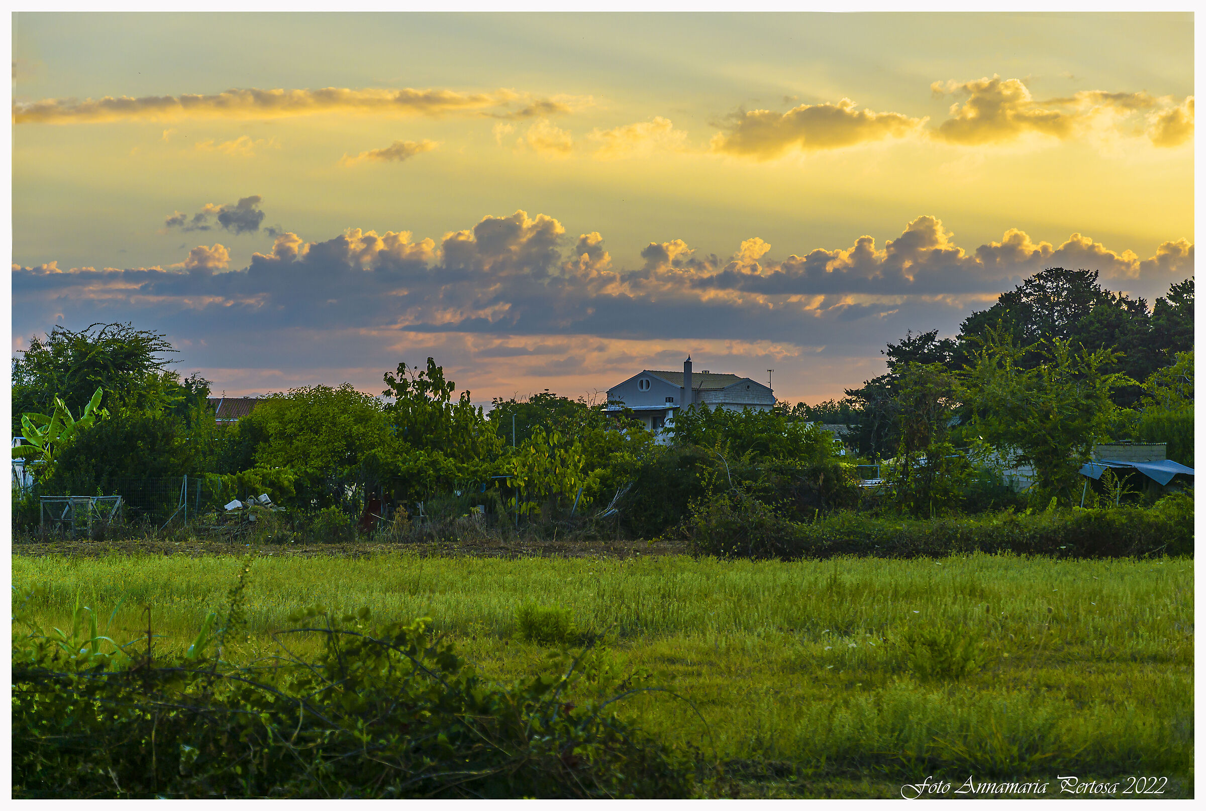 Magic of dawn