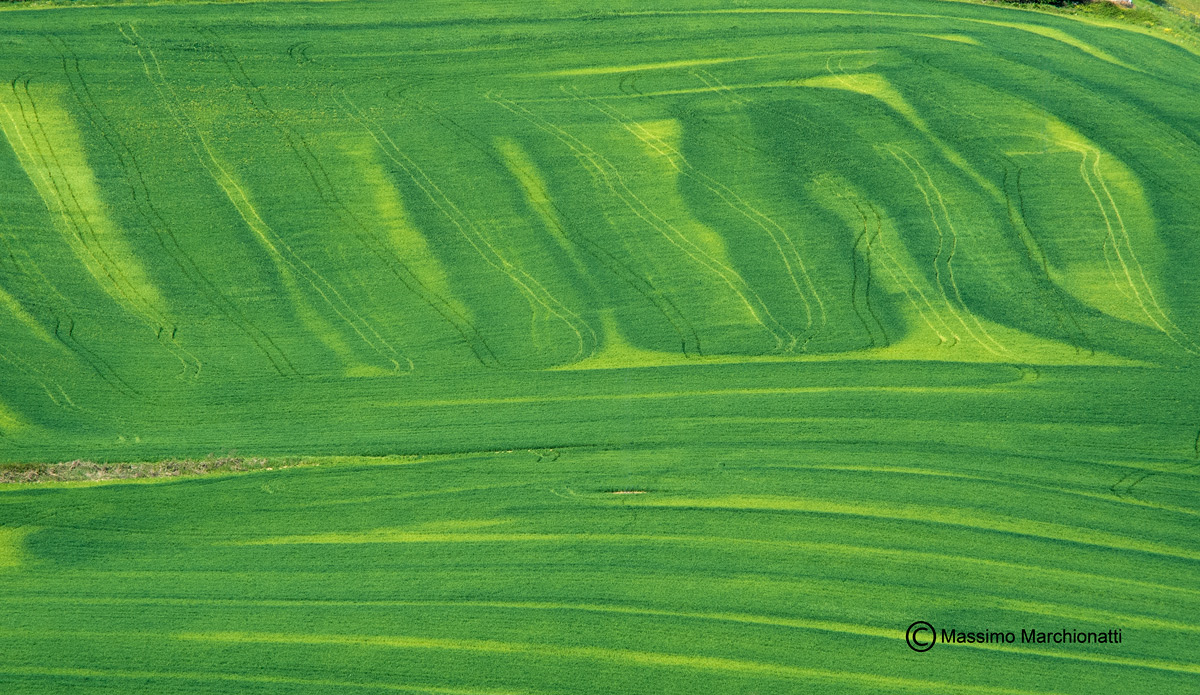 50 sfumature di verde