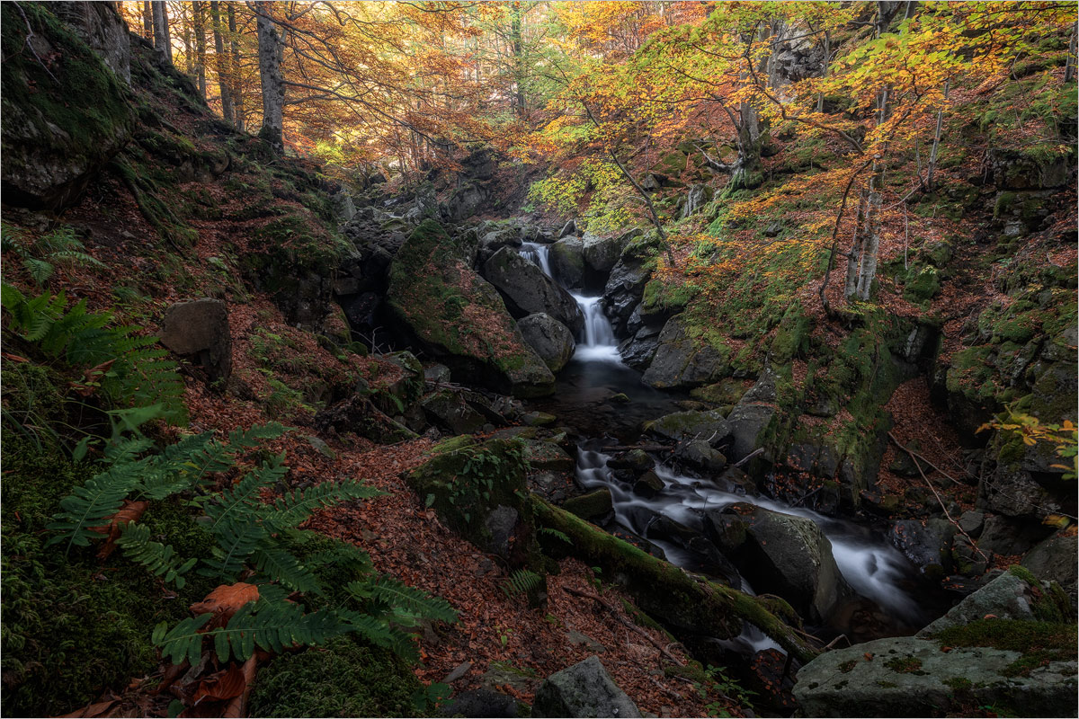 In the Heart of Autumn