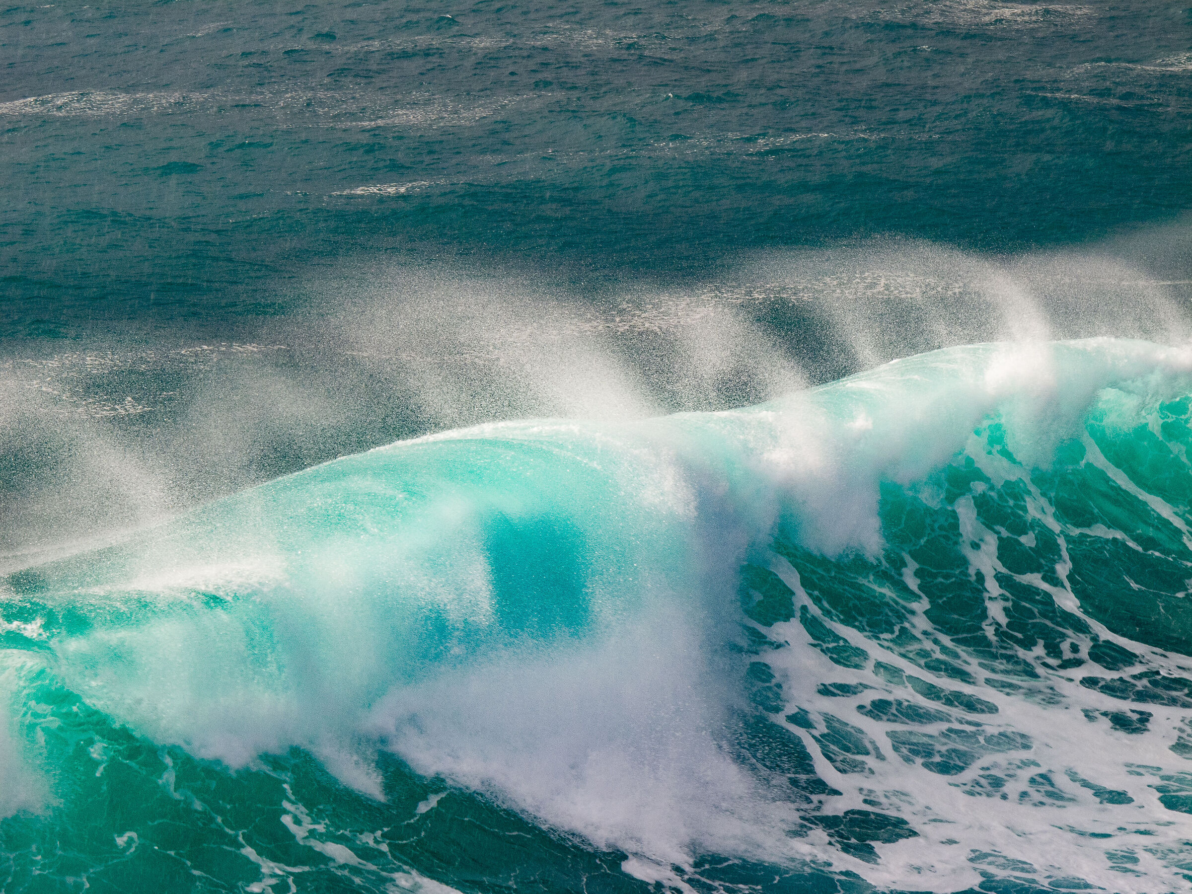 WAVE