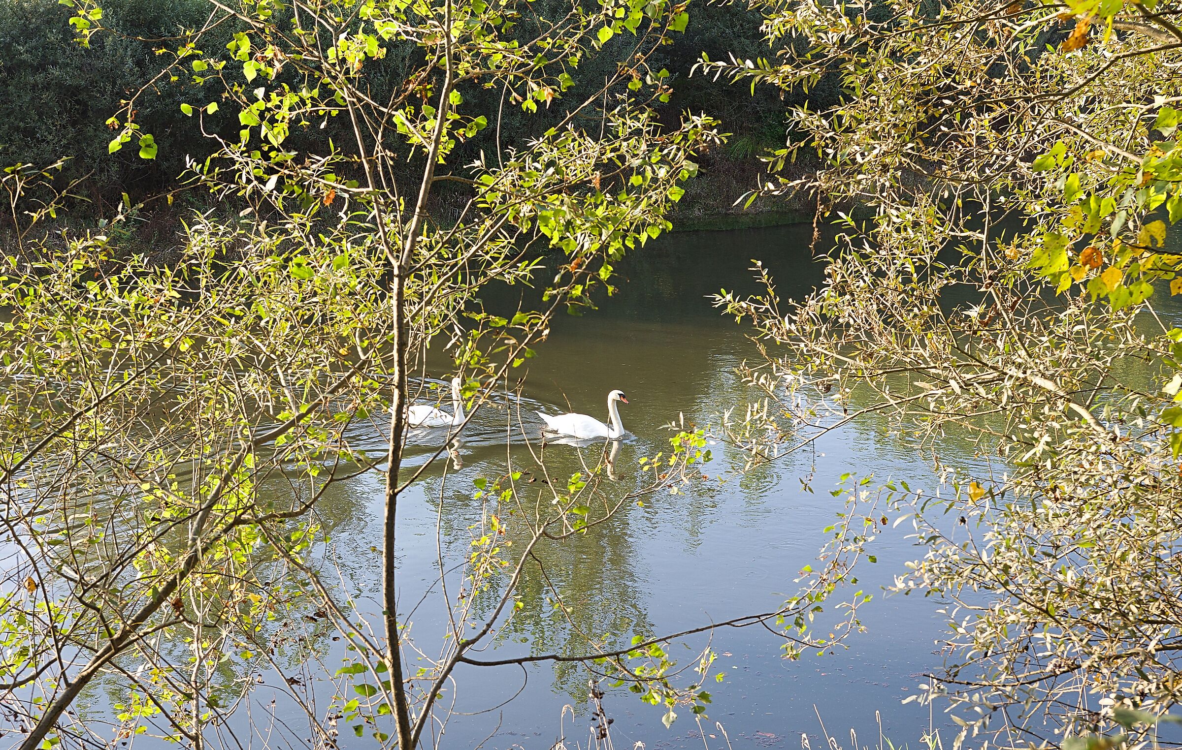 Un angolo di pace e tranquillità