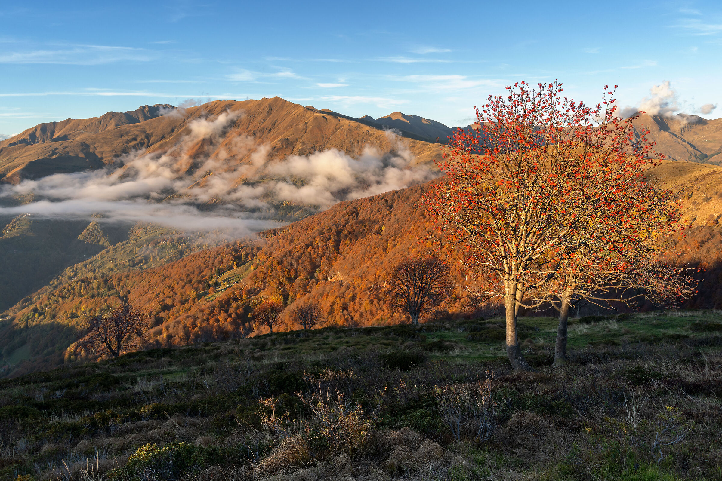 Valcolla (Italy)