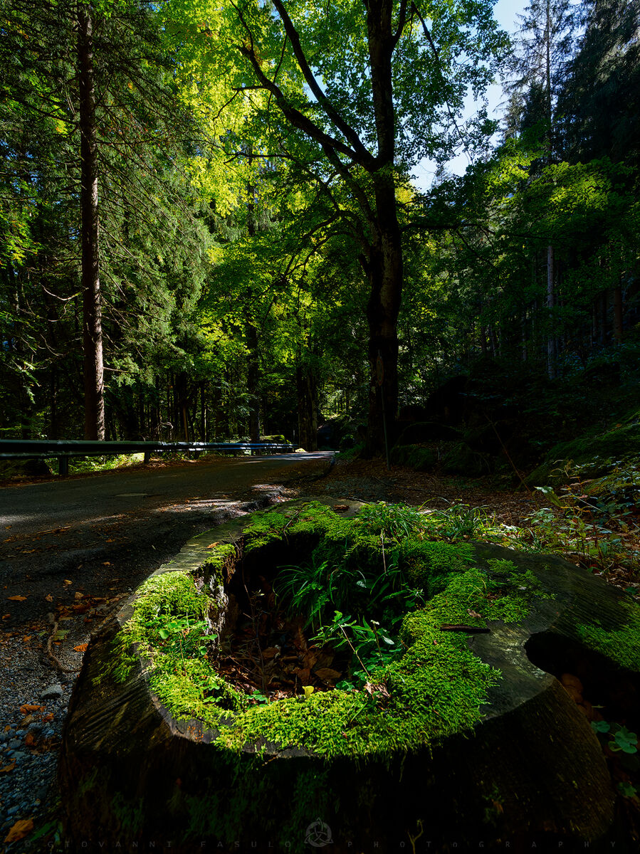 La caldera del duende
