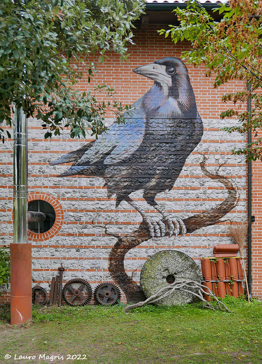 The crow in the fronds