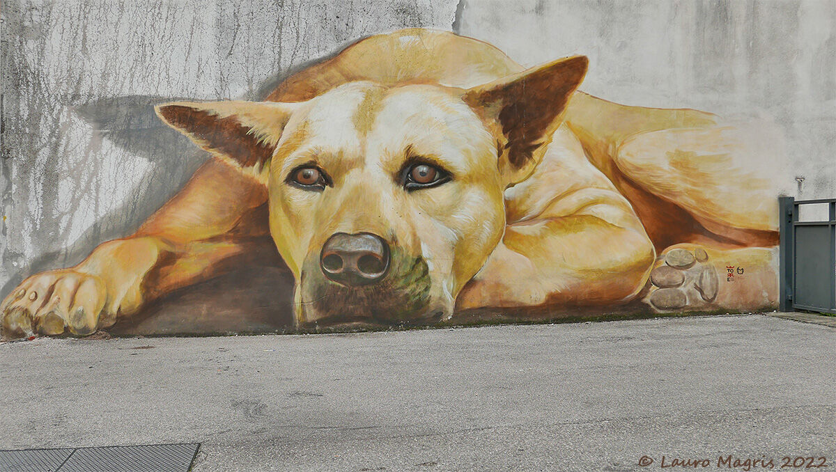 Super puppy