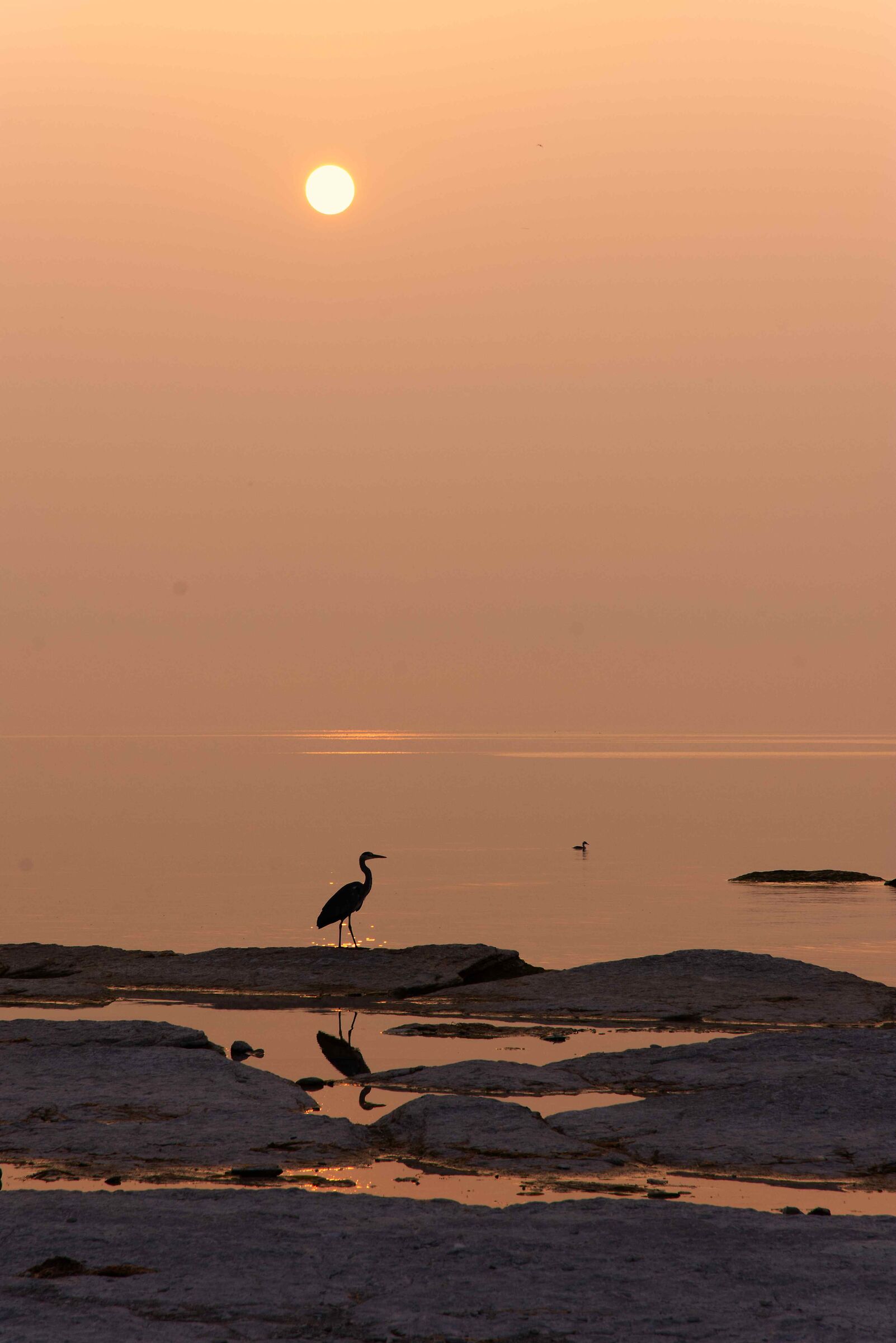 Alba con riflesso