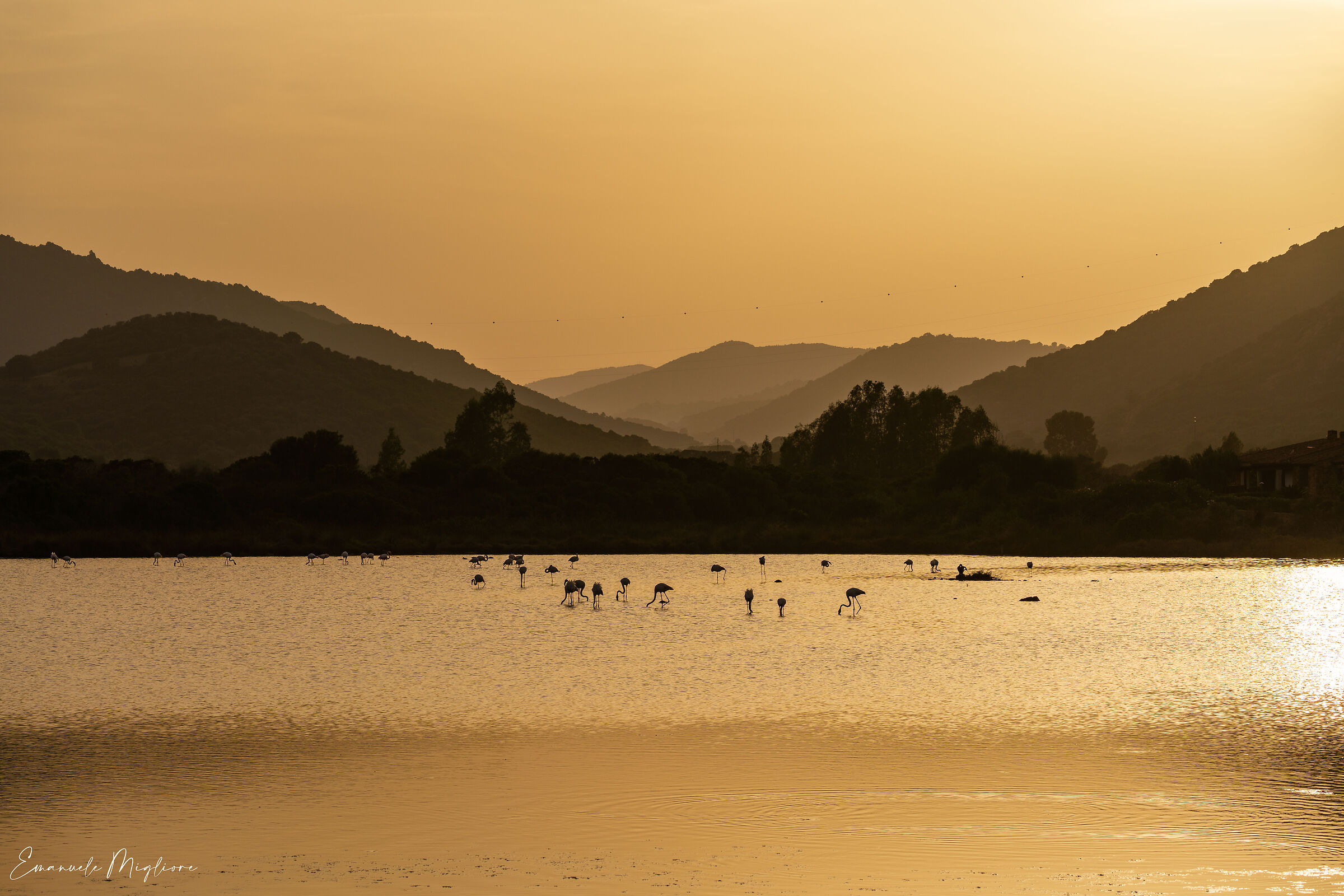 Stagno di Porto Taverna - Sardinia -Italy