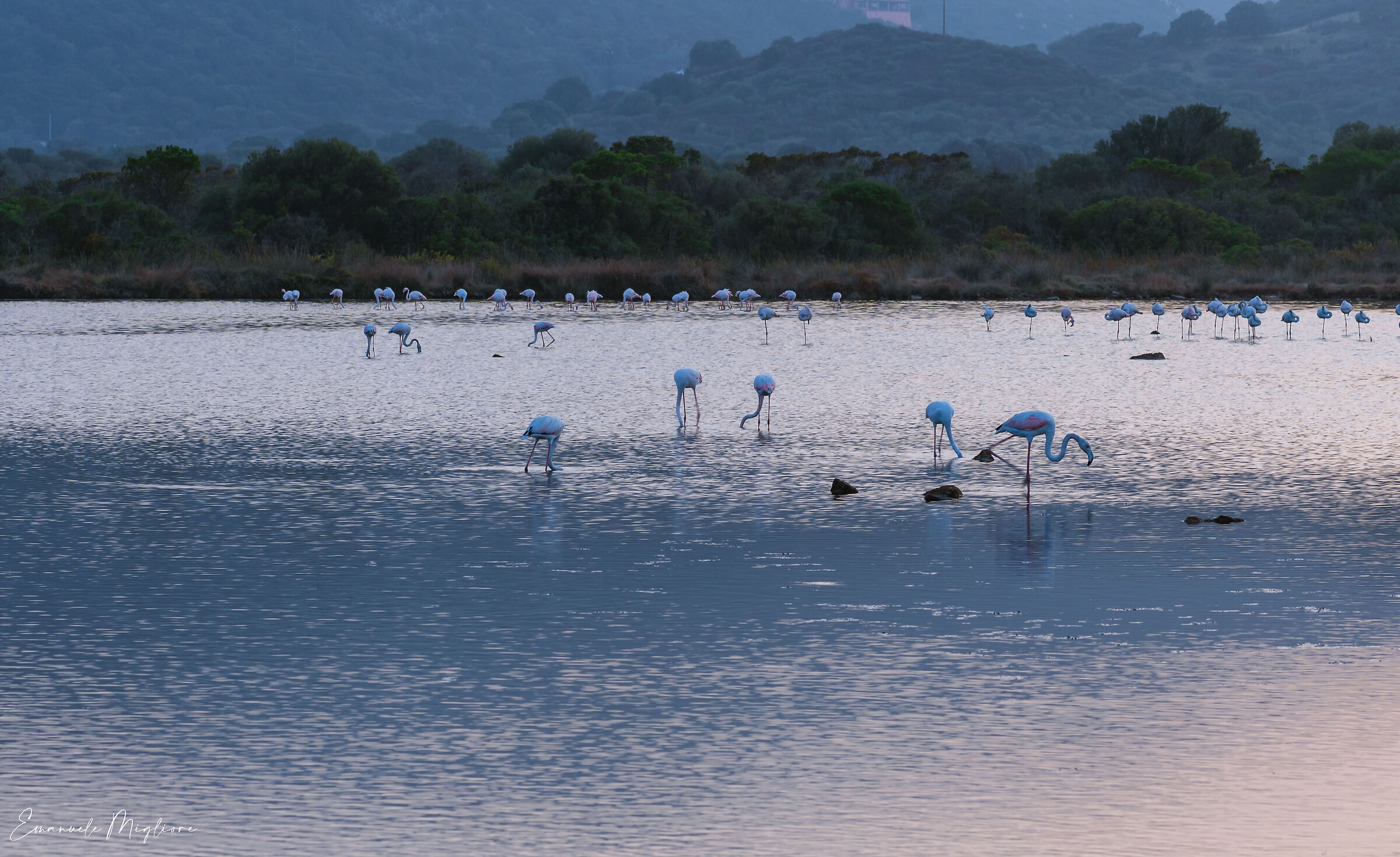 Stagno di Porto Taverna - Sardinia -Italy