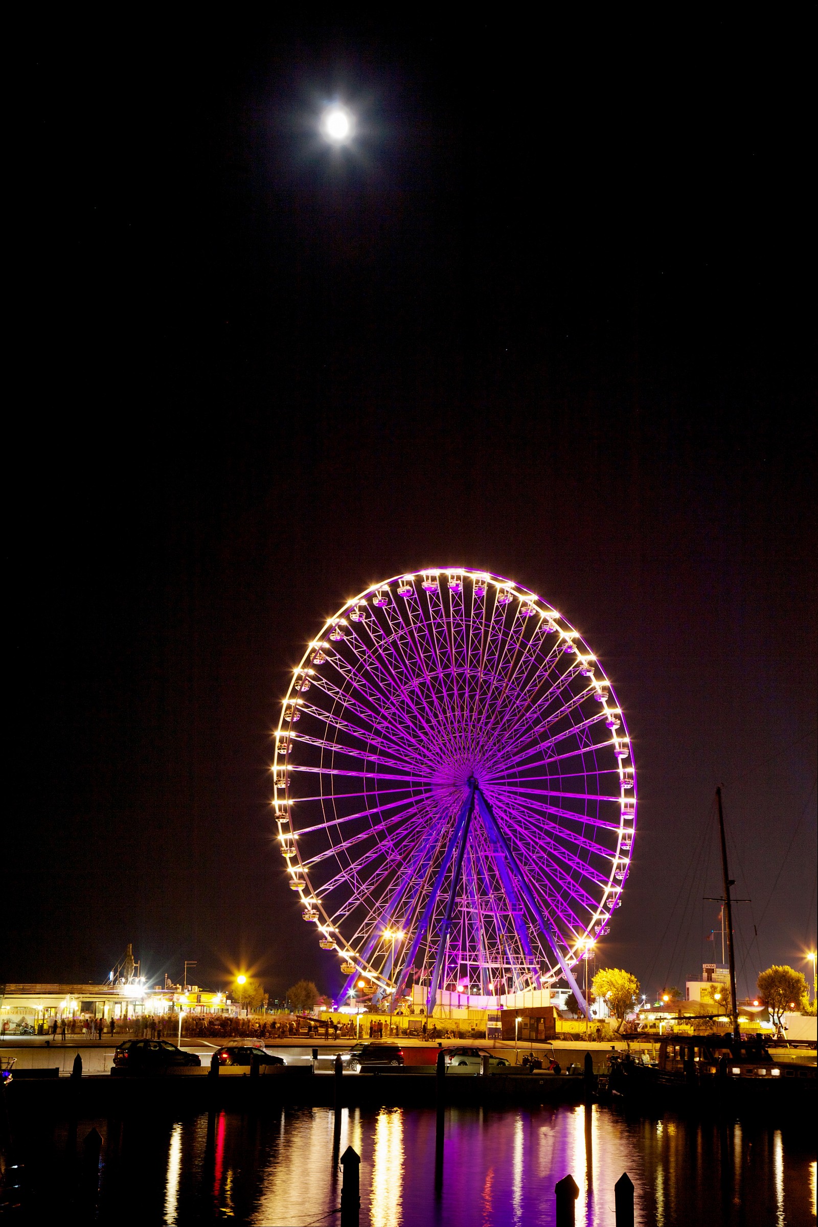 Notte rosa Rimini