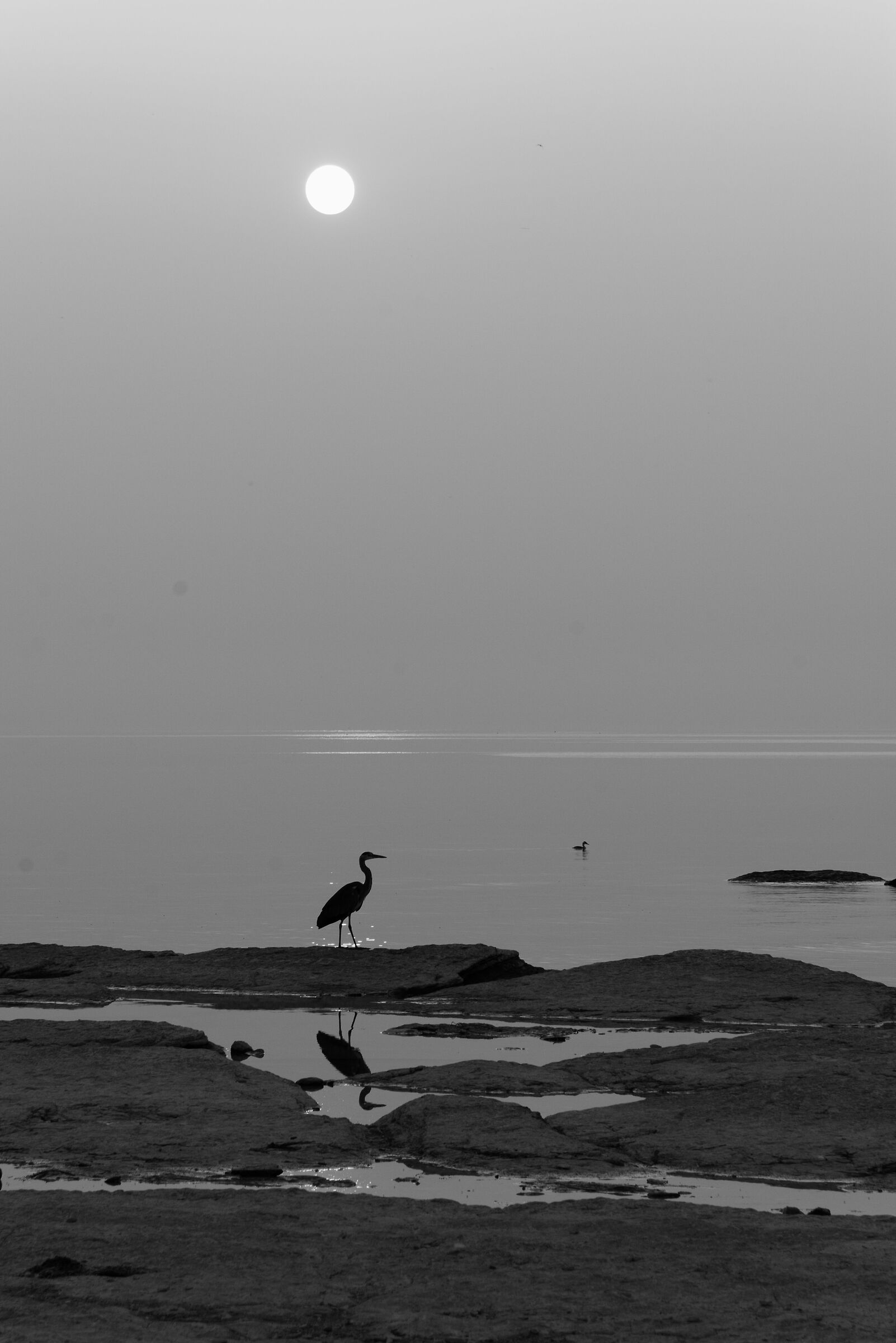 Alba con riflesso bw_hd