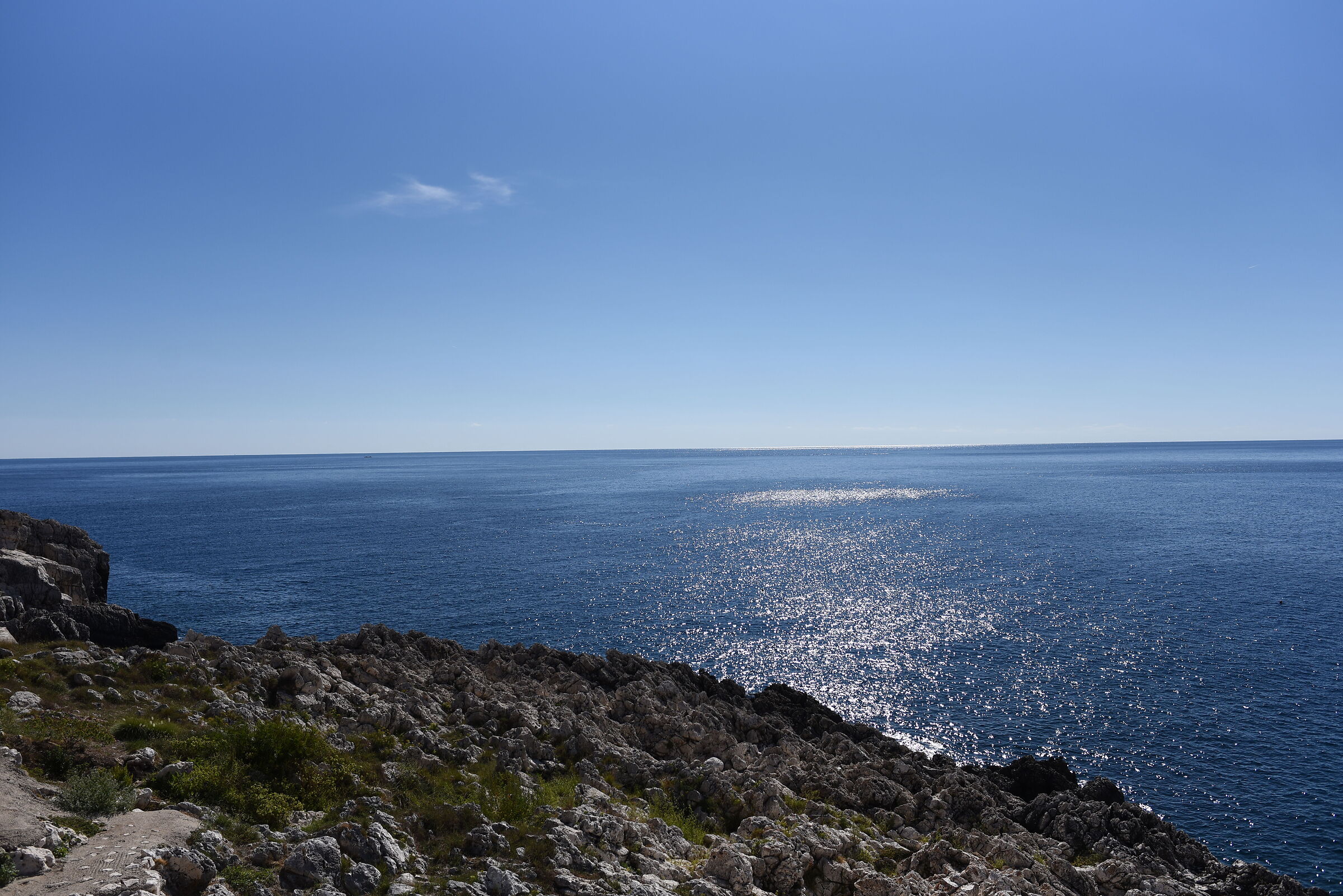 " F. 4.8 ", 1/ 4.0 0 0, ISO 125- Otus Zeiss 28, 1....